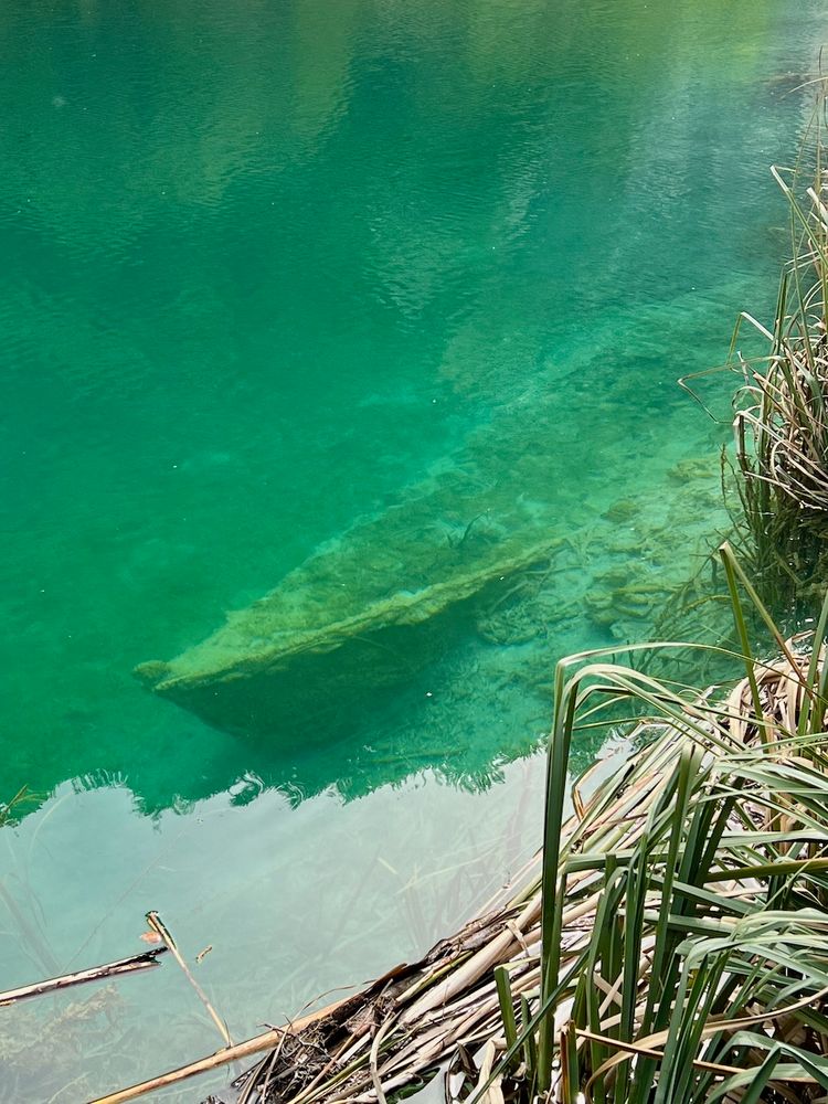 sunken boat in clear water