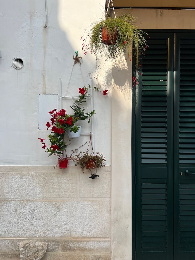 flowers on wall next to door