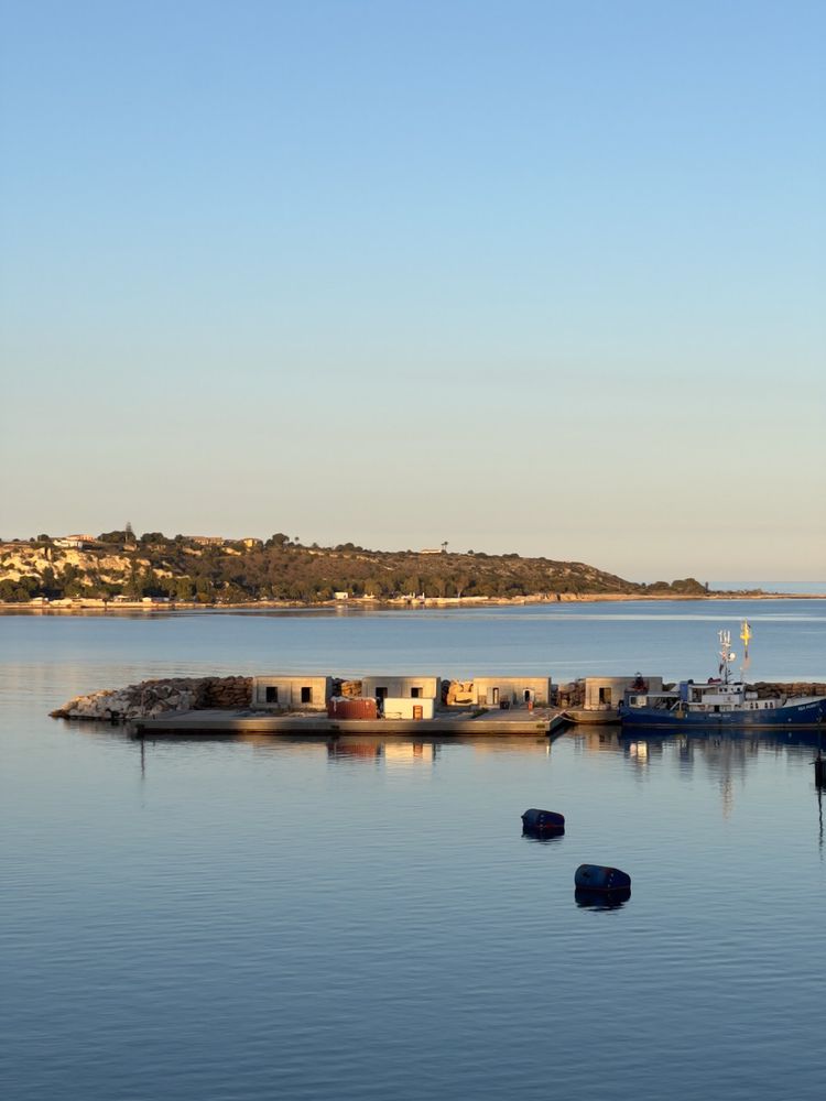 harbor at sunset