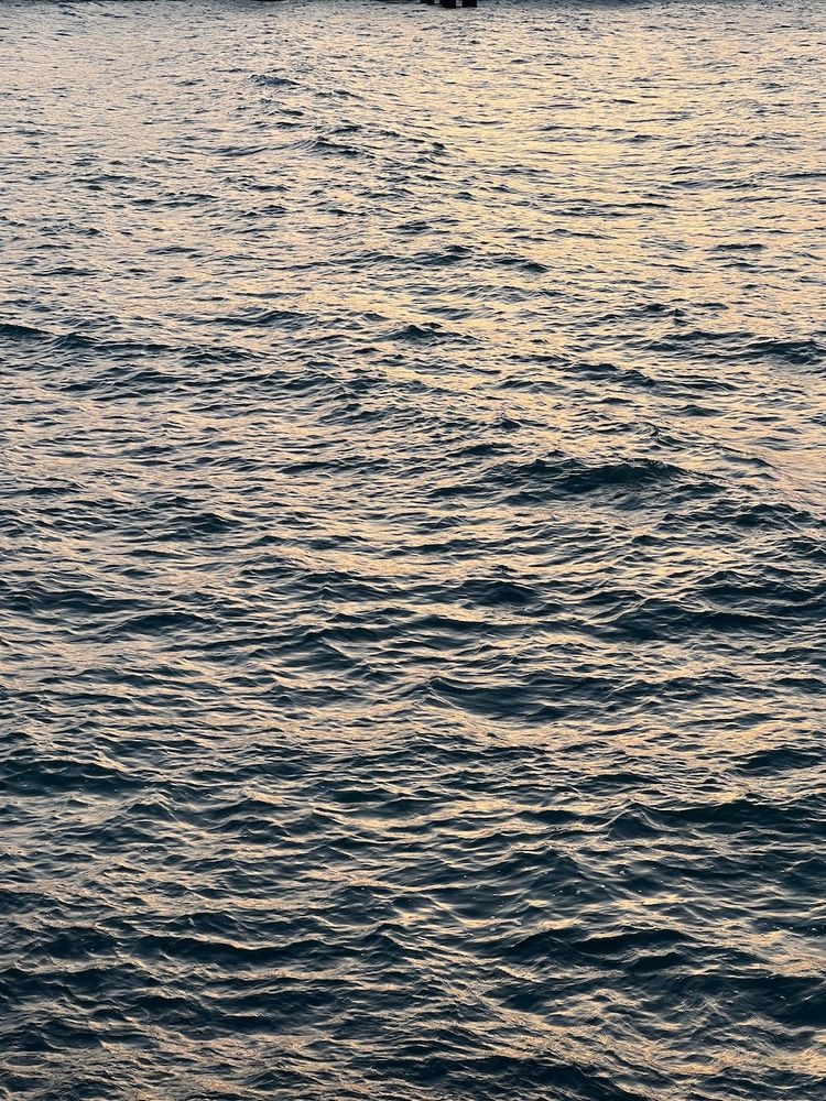golden hour light on water