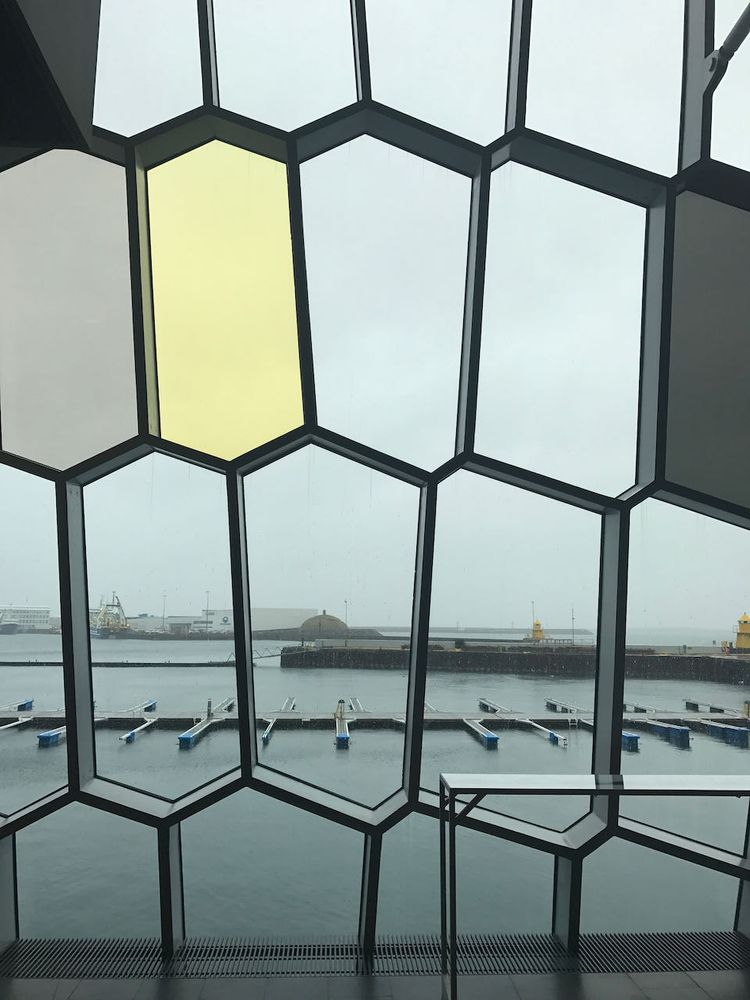looking out the window from harpa
