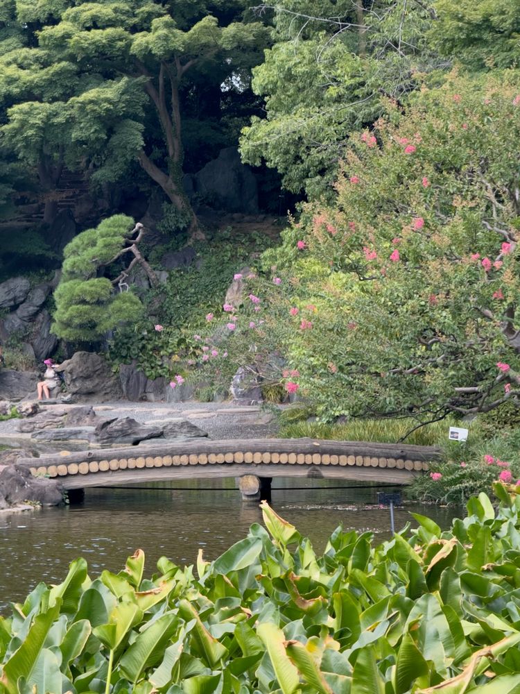 bridge in Japanese garden