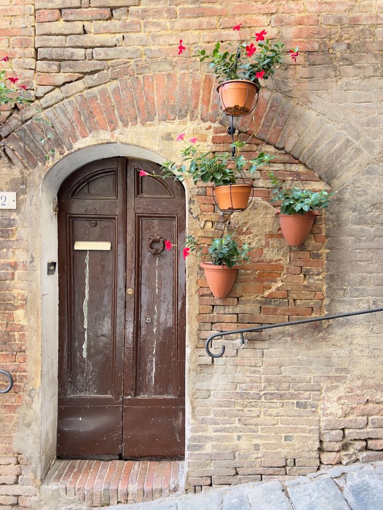 door with flower pots