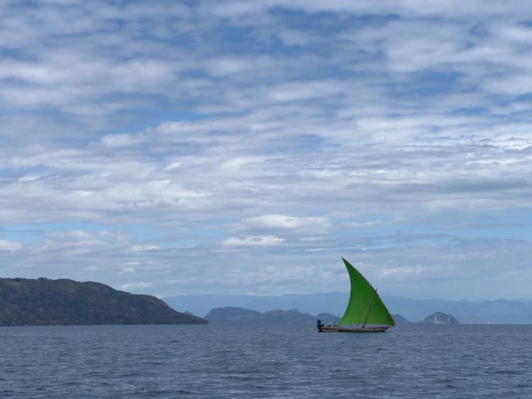 boat sailing