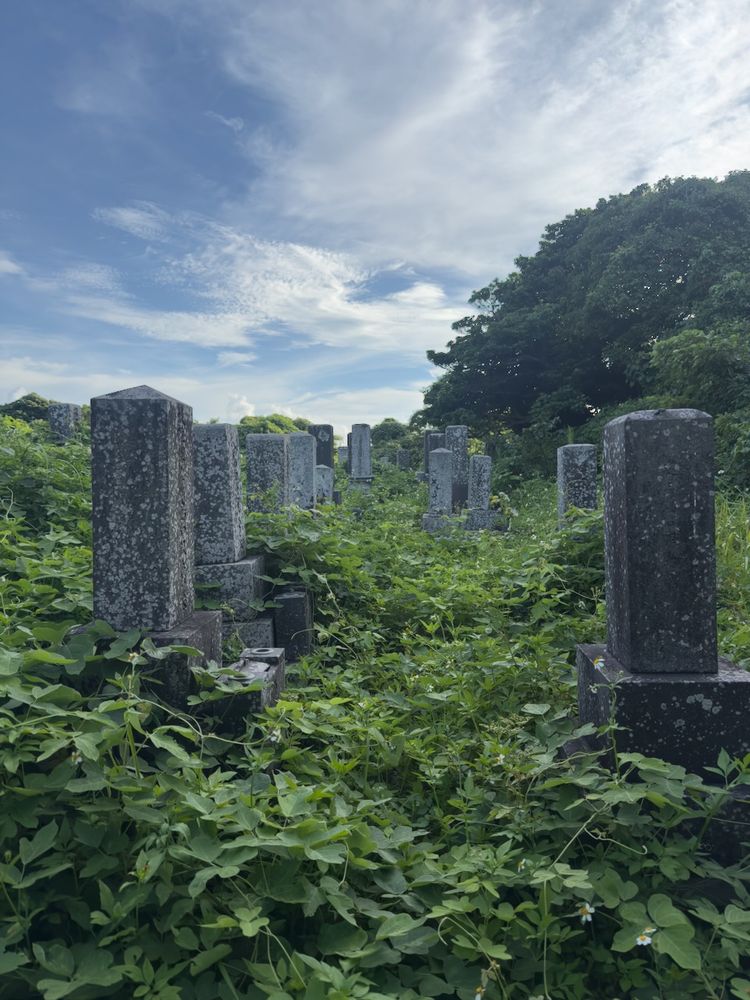 overgrown cemetery