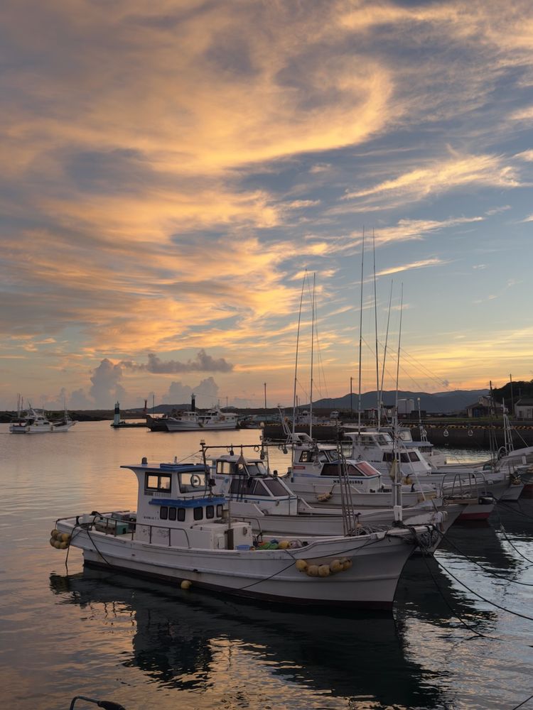 boats at sunset