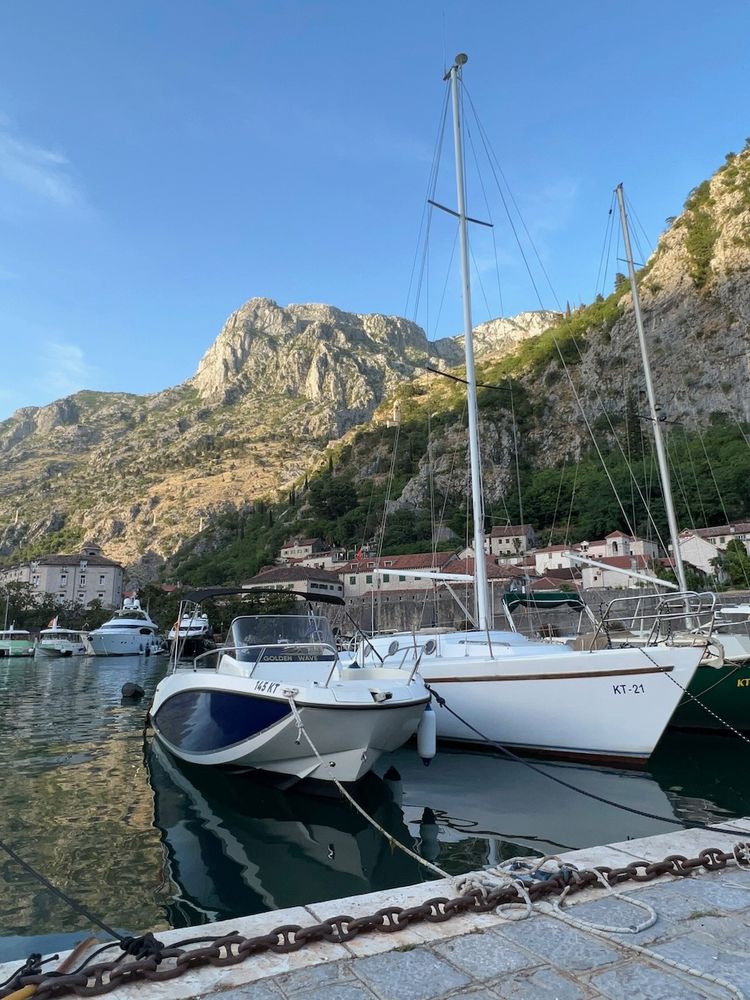 sailboats in harbor