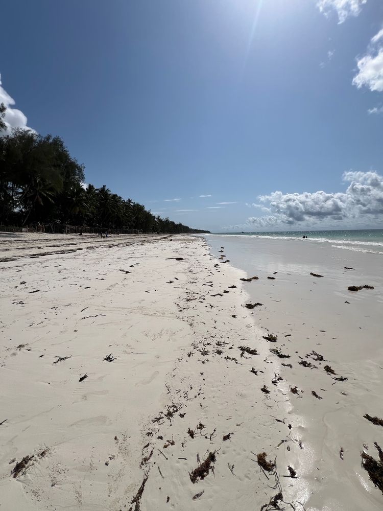 white sand beach