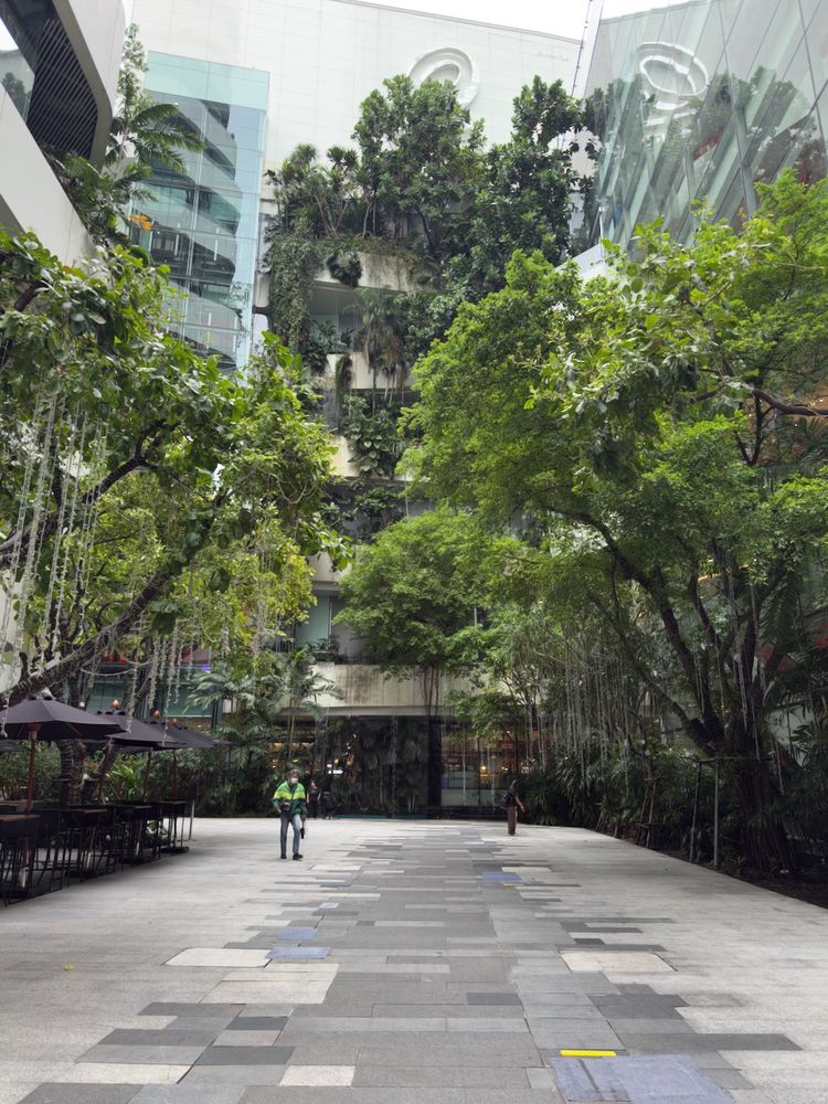 mall courtyard