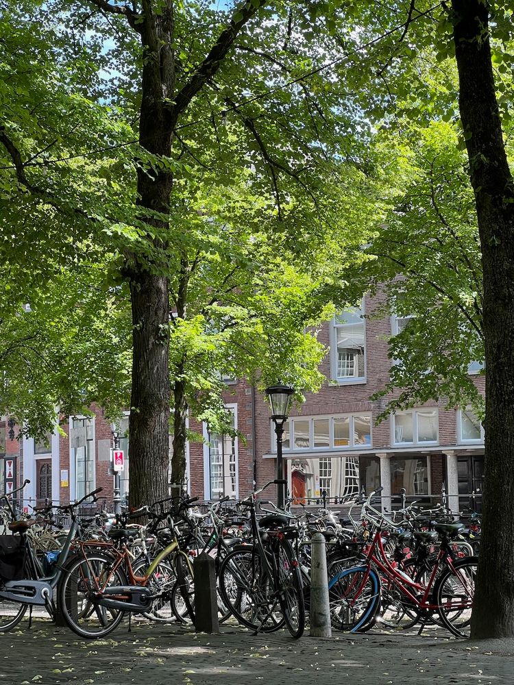 bikes parked in Utrecht