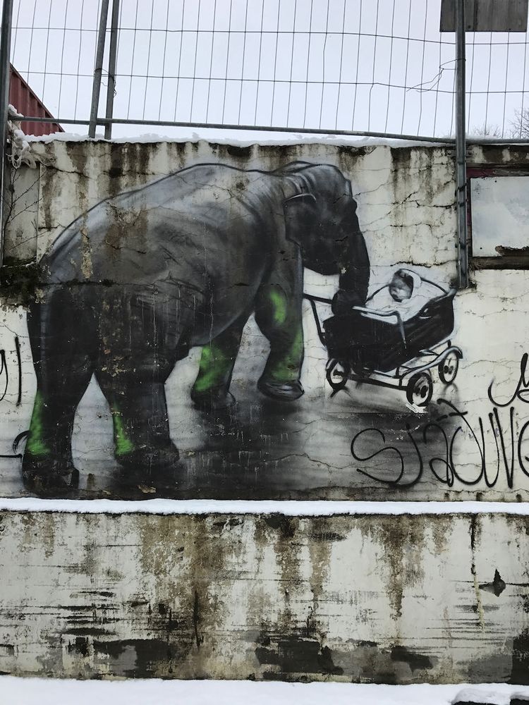 elephant street art in akureyri