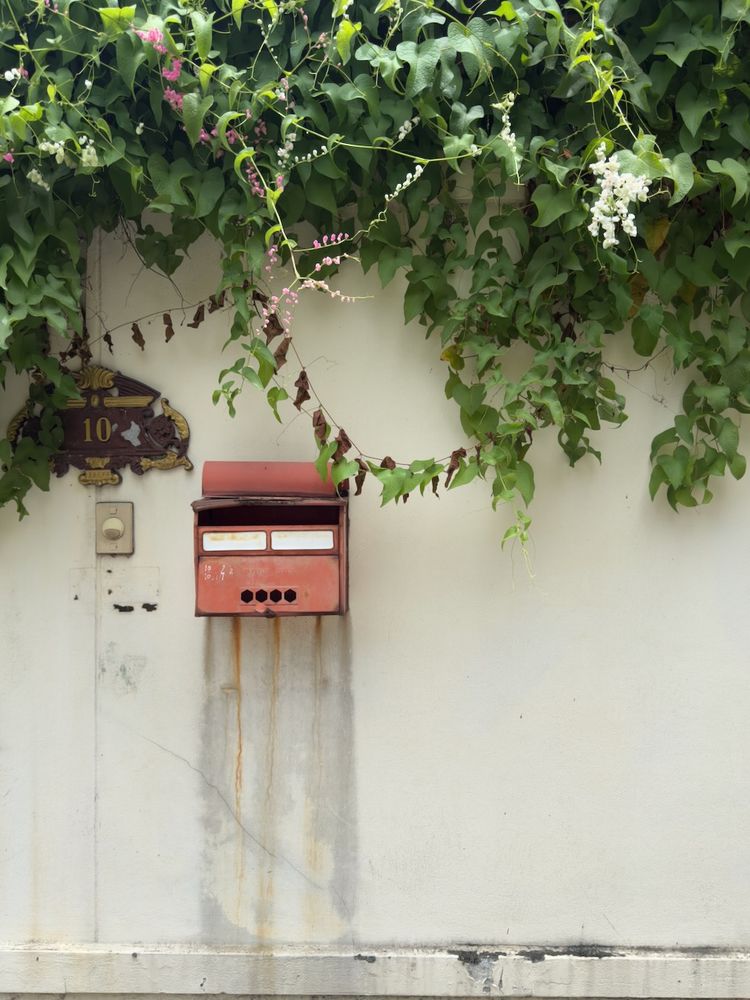 mailbox and plants