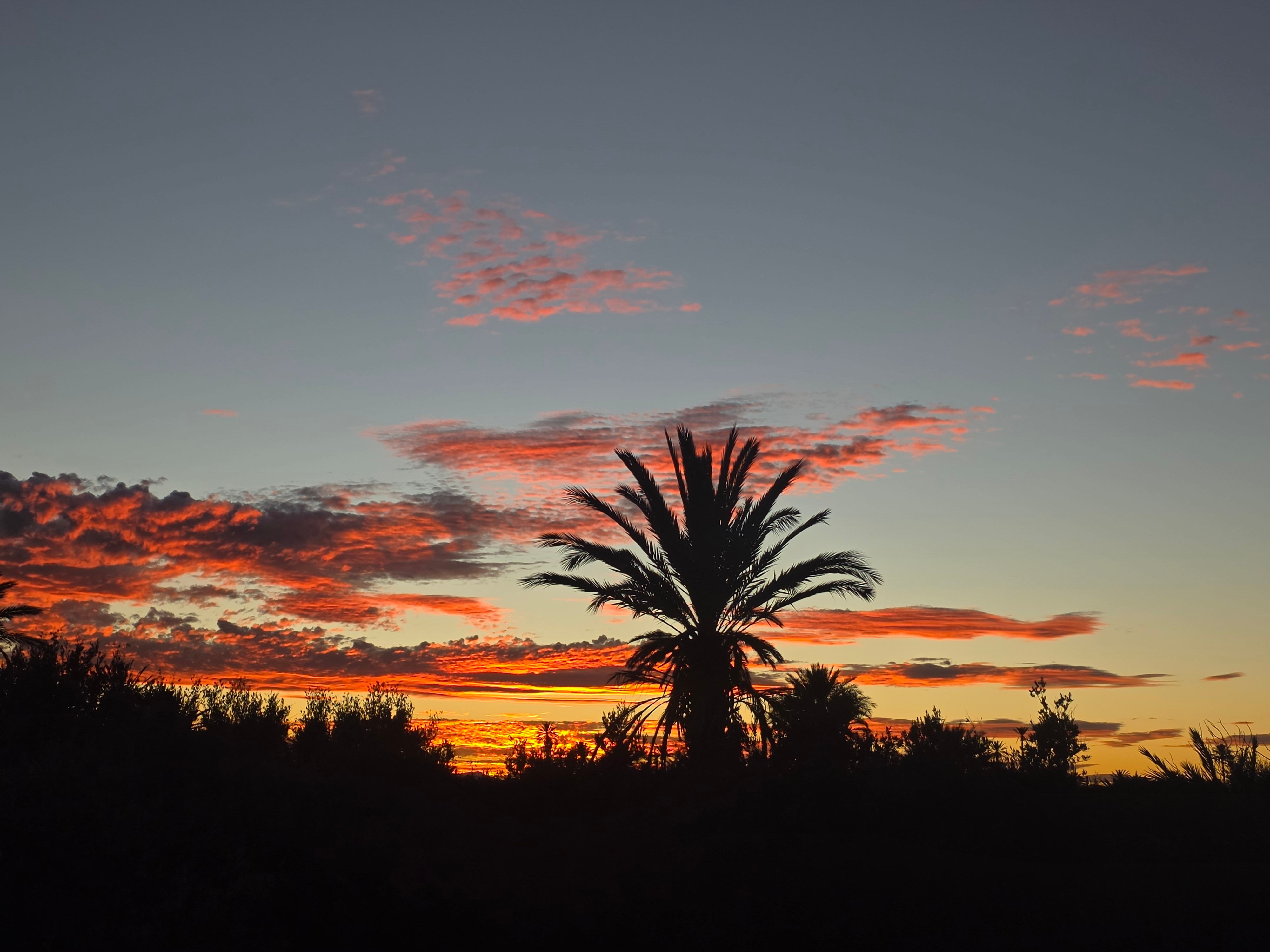 Couché de soleil vue de la kasbah palmier