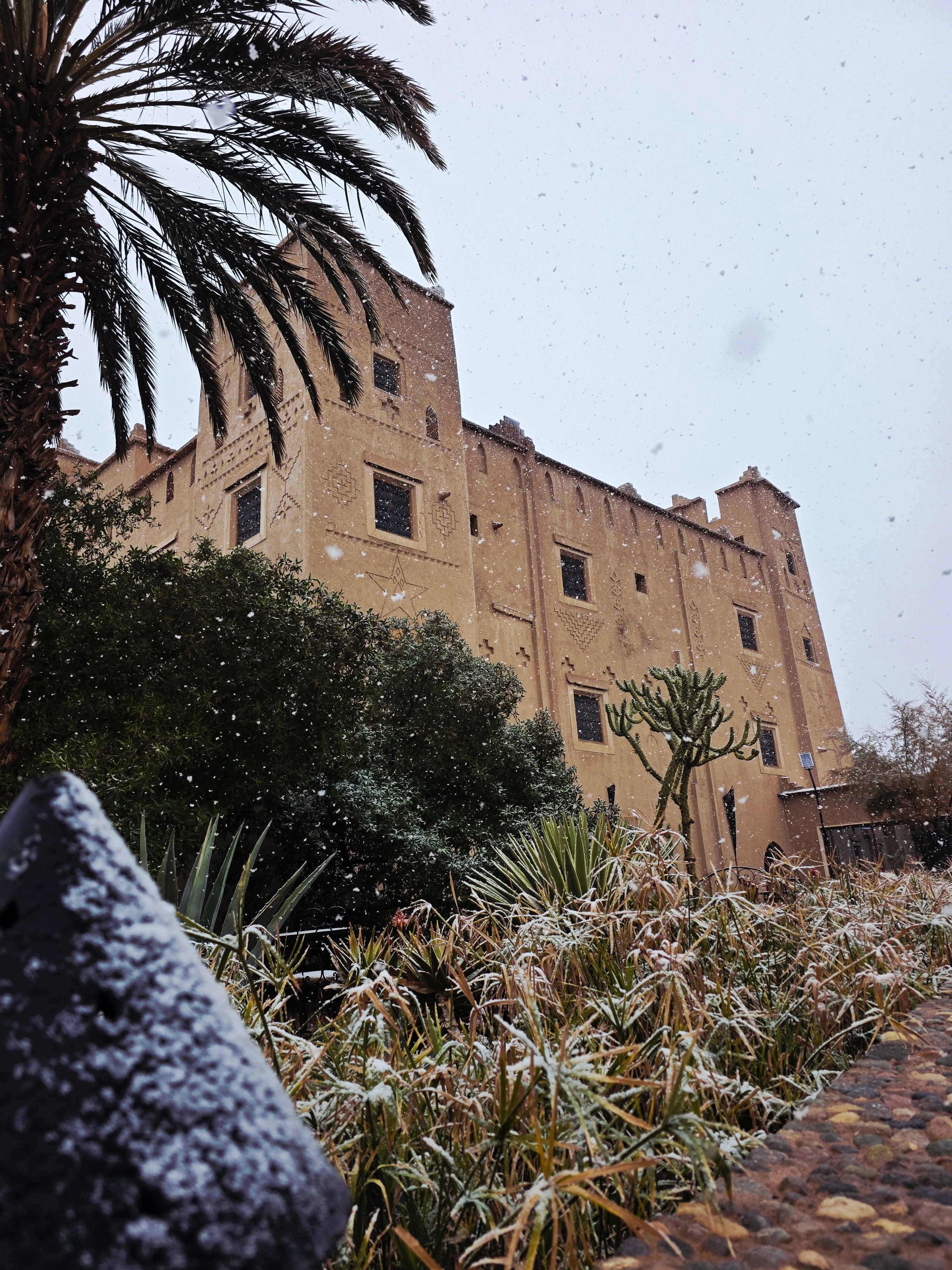Jardin neige arbres