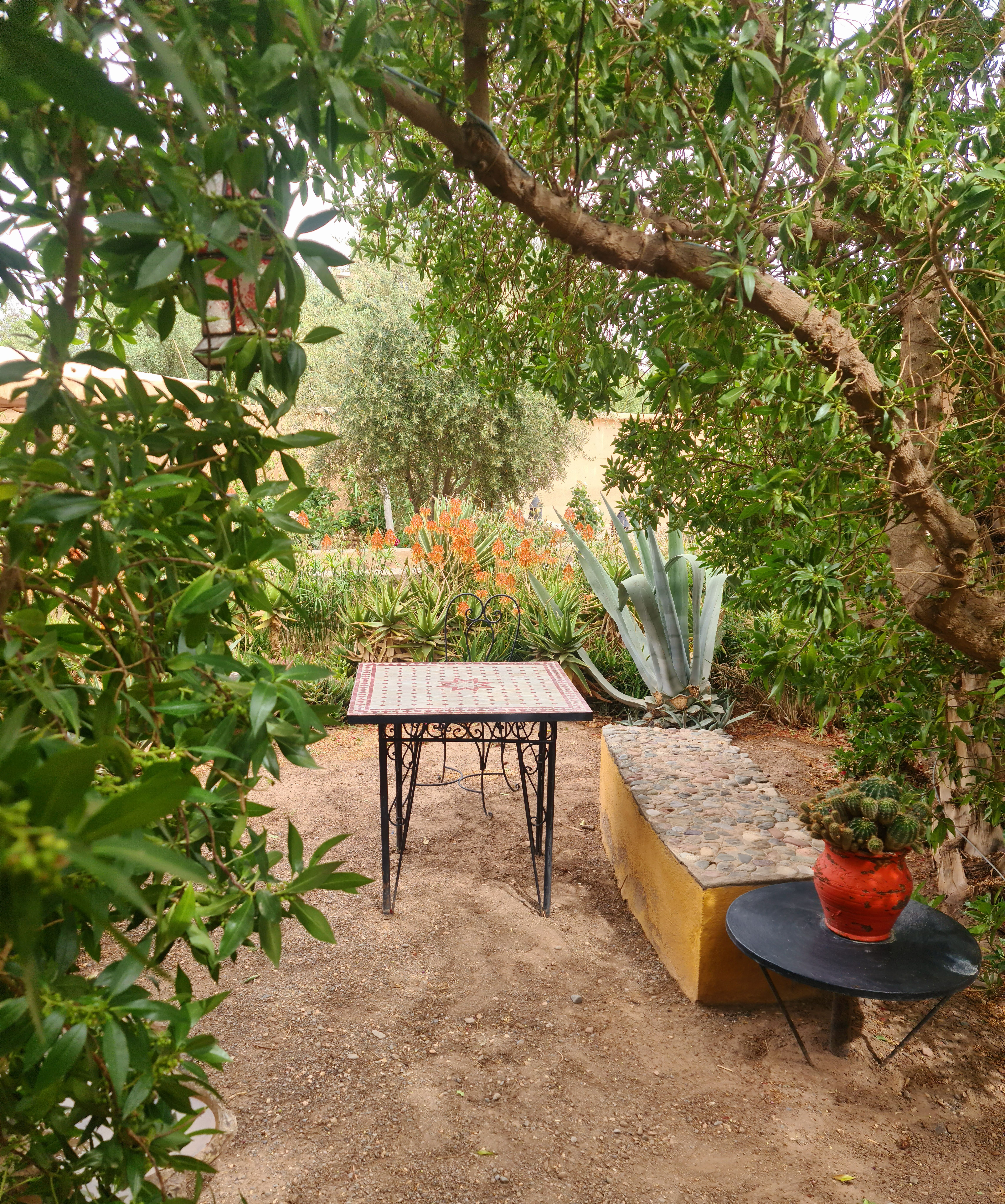 Espace détente dans le jardin verdure