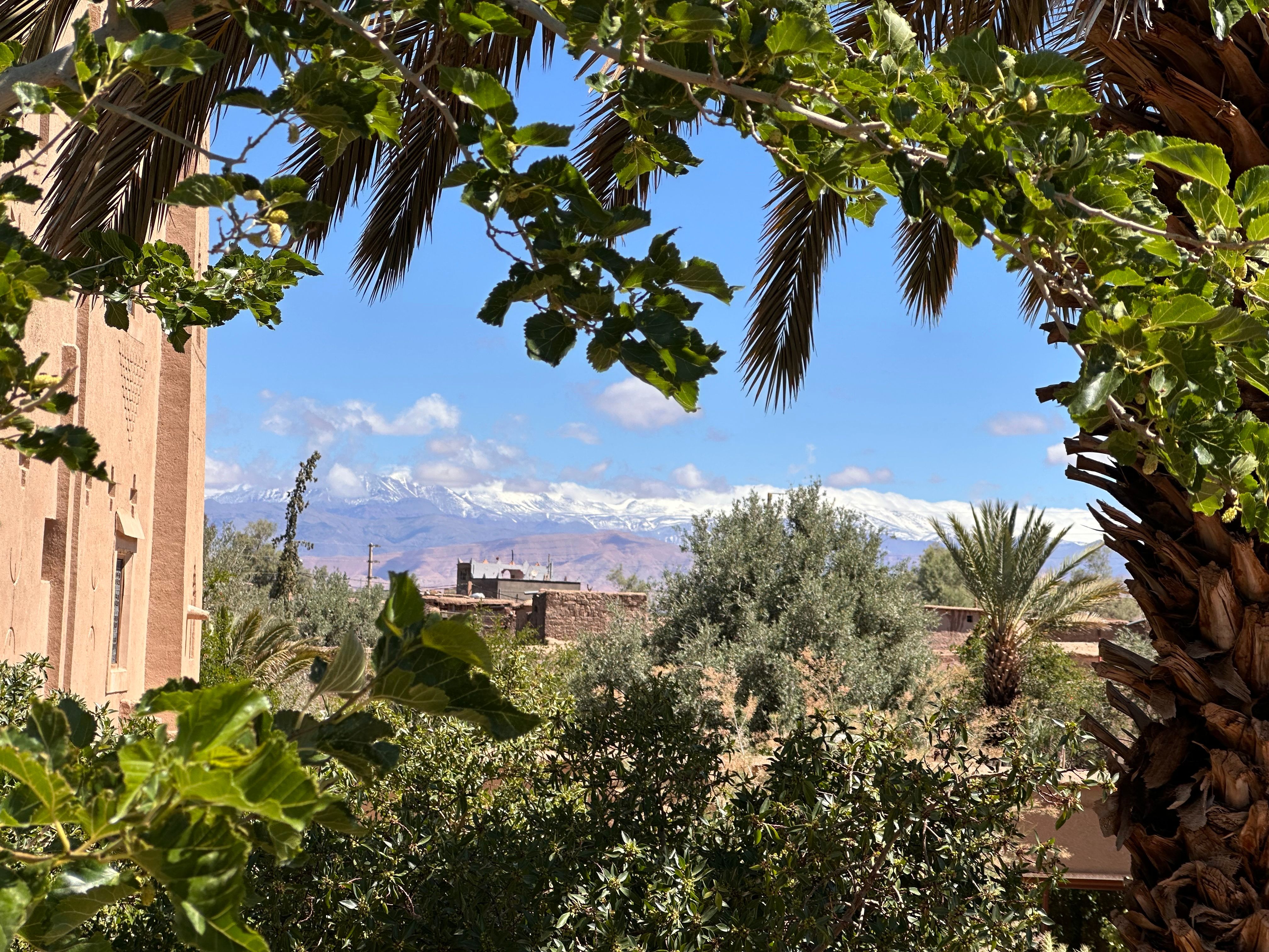 Jardin de la kasbah vue sur les montagnes enneigées