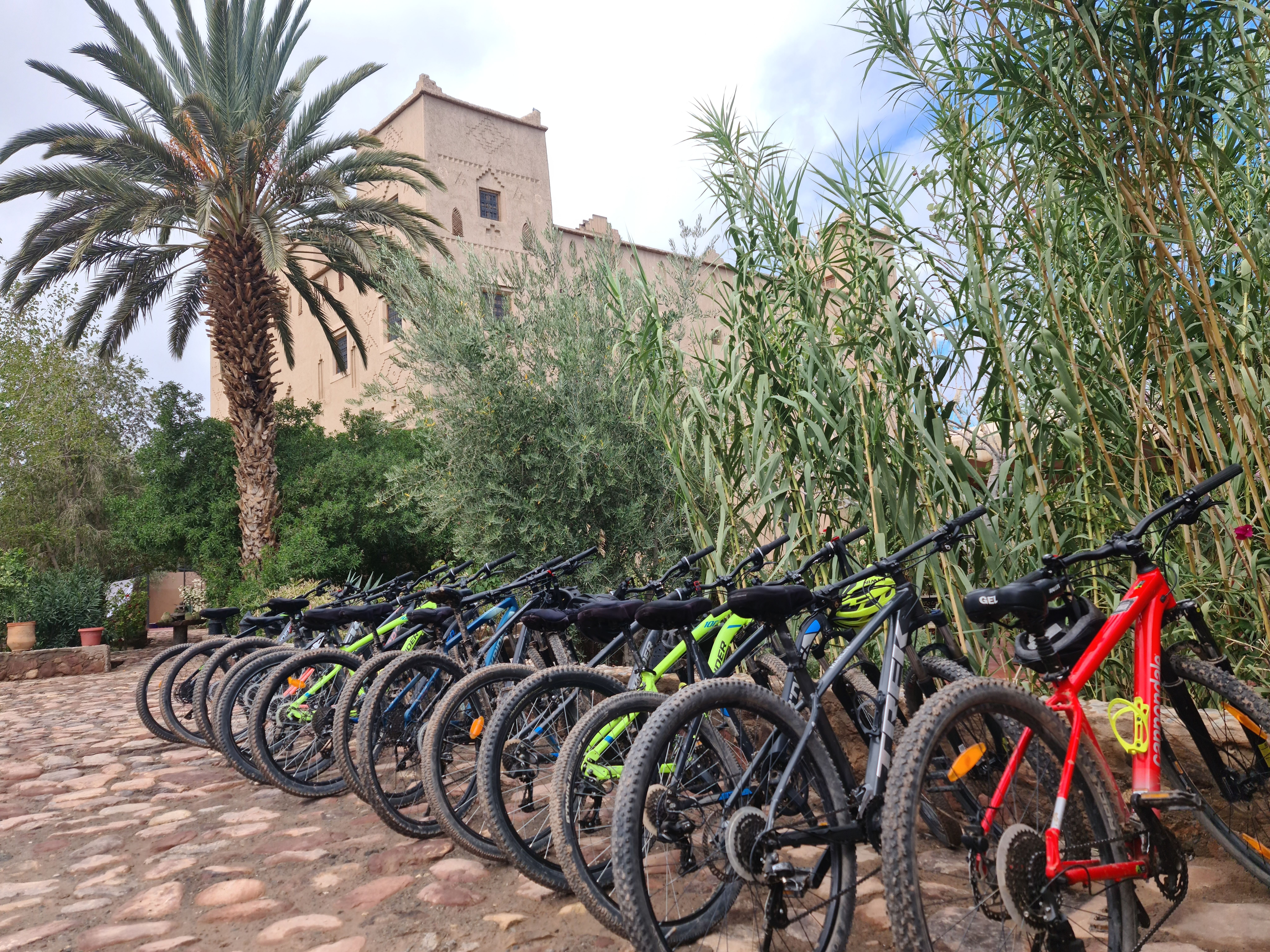Vélos sur le parking jardin et façade