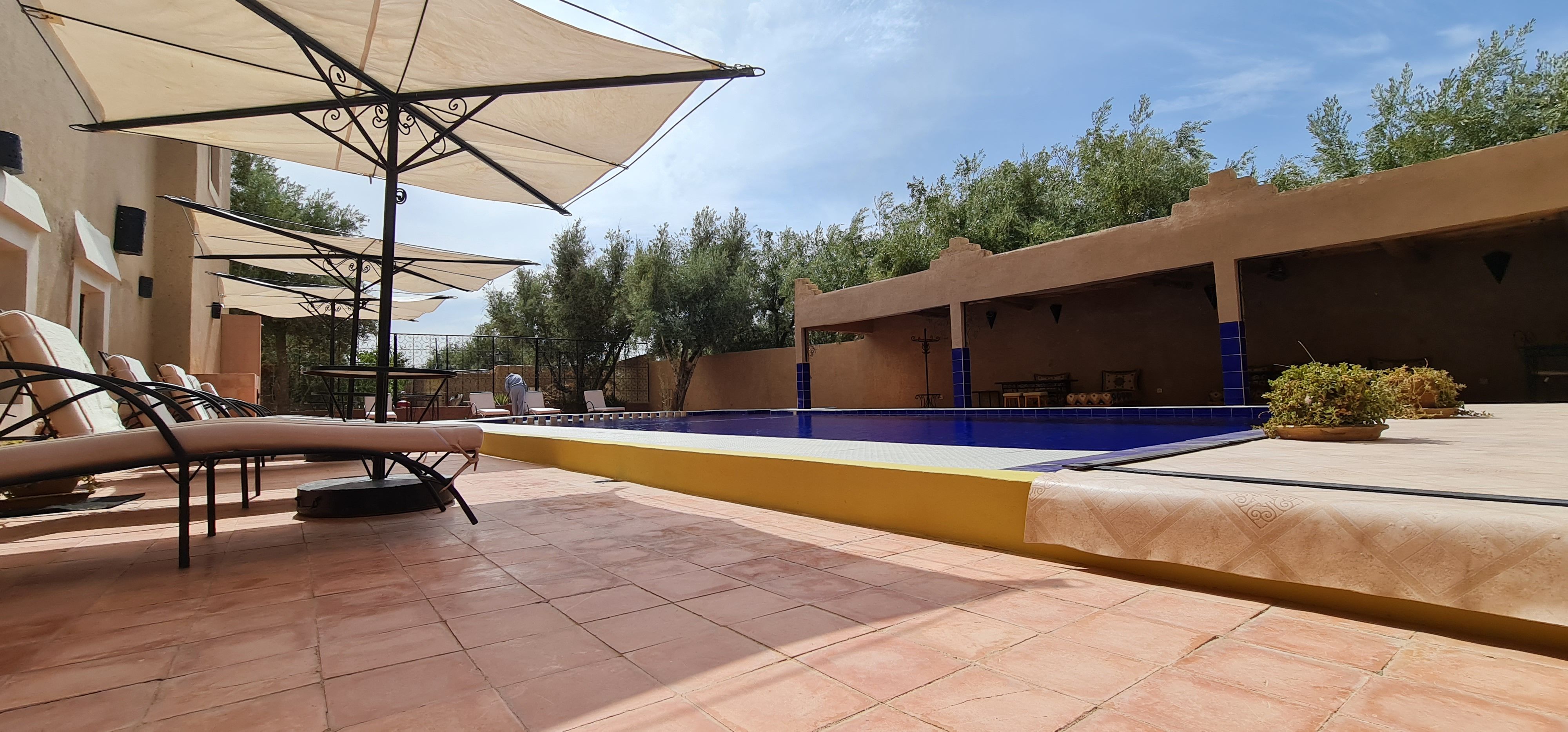 Espace piscine vue sur les transat