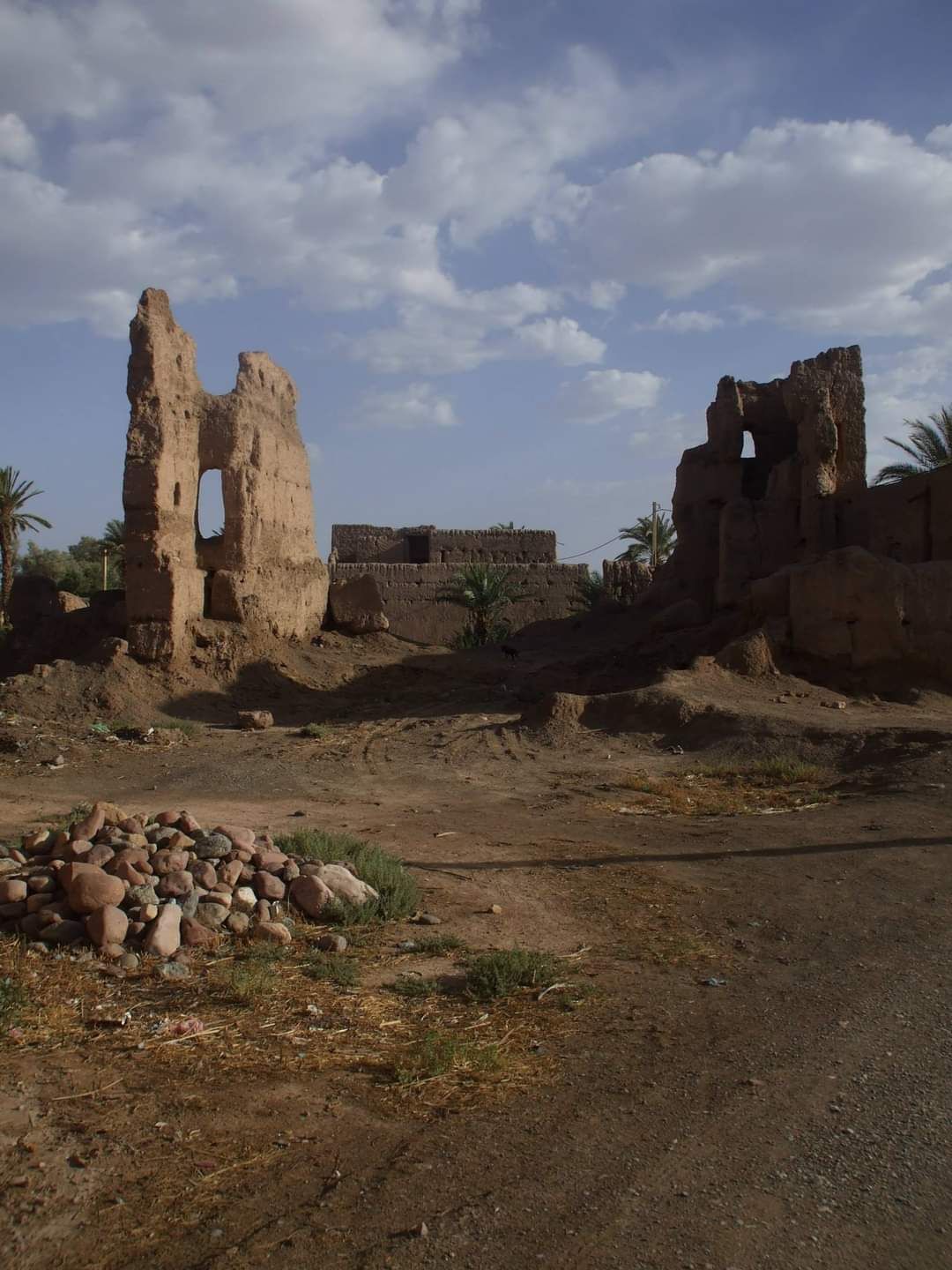 Ruines en pisé dans la palmeraie de Skoura