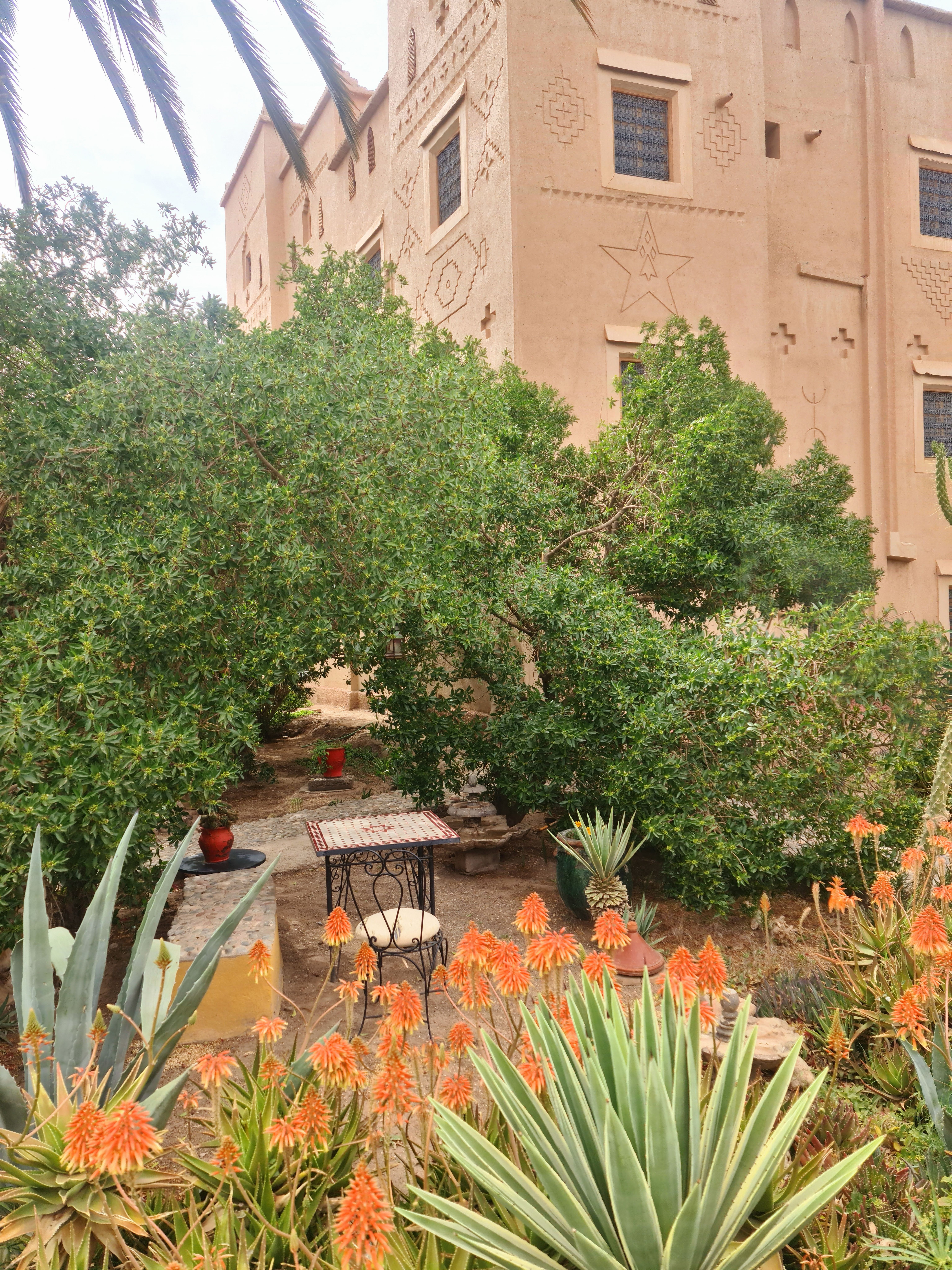 Espace détente jardin et façade