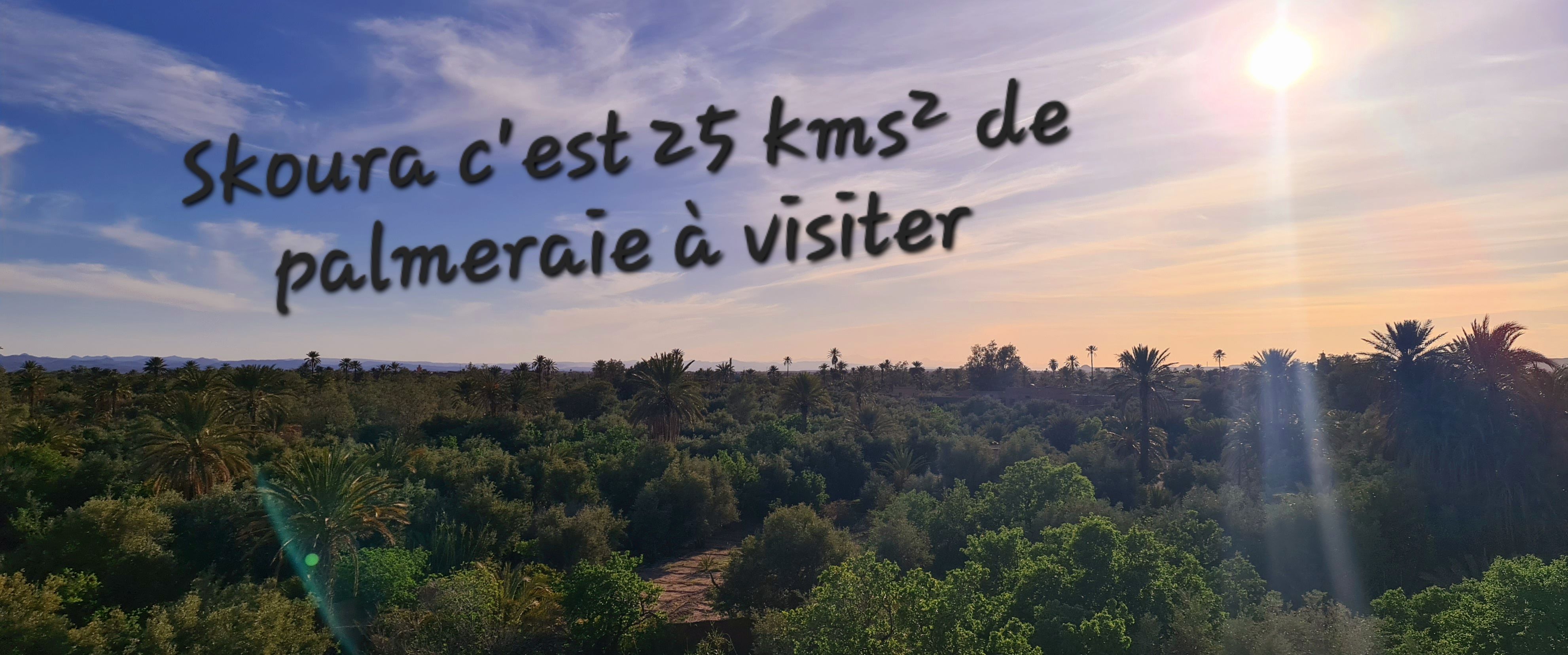 Oasis de Skoura a visiter