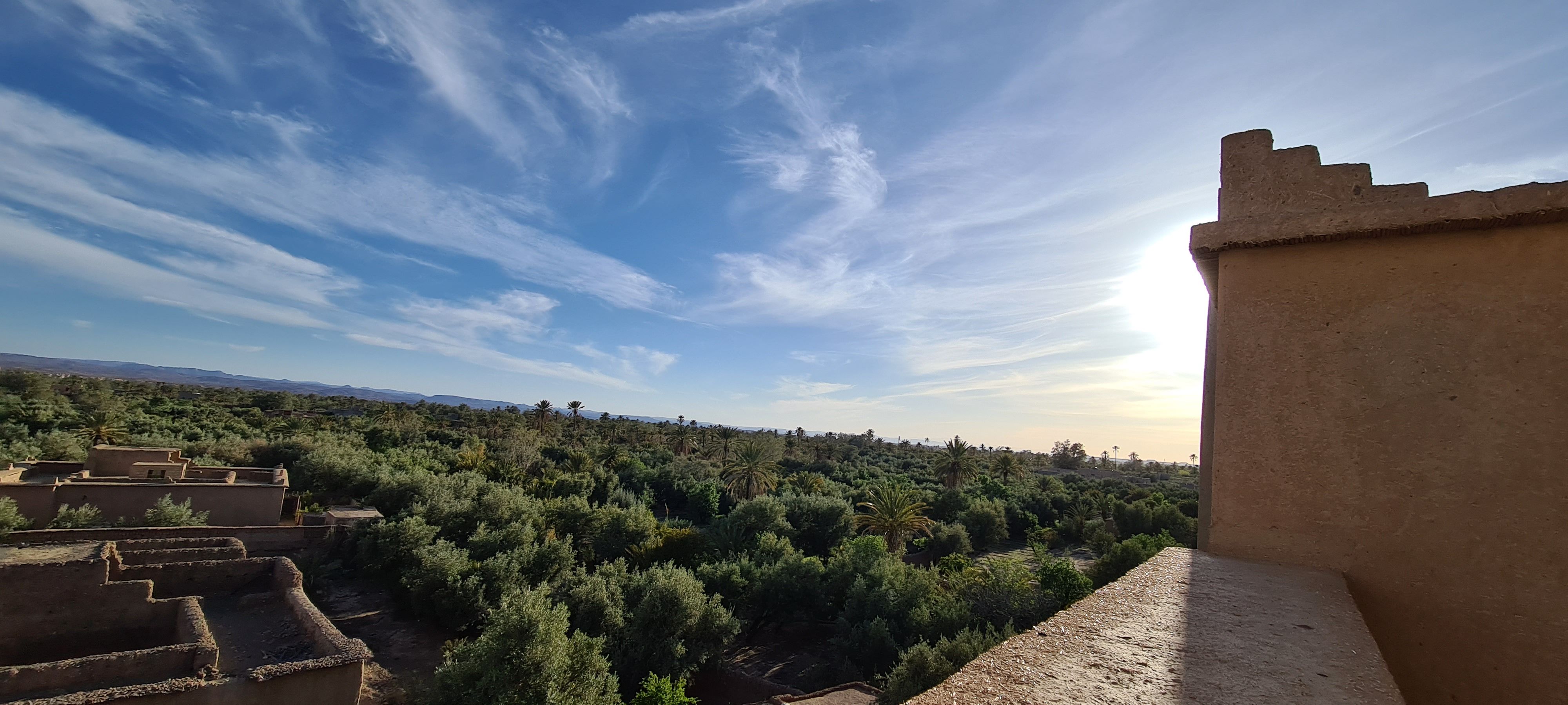 Vue de la terrasse sur la palmeraie
