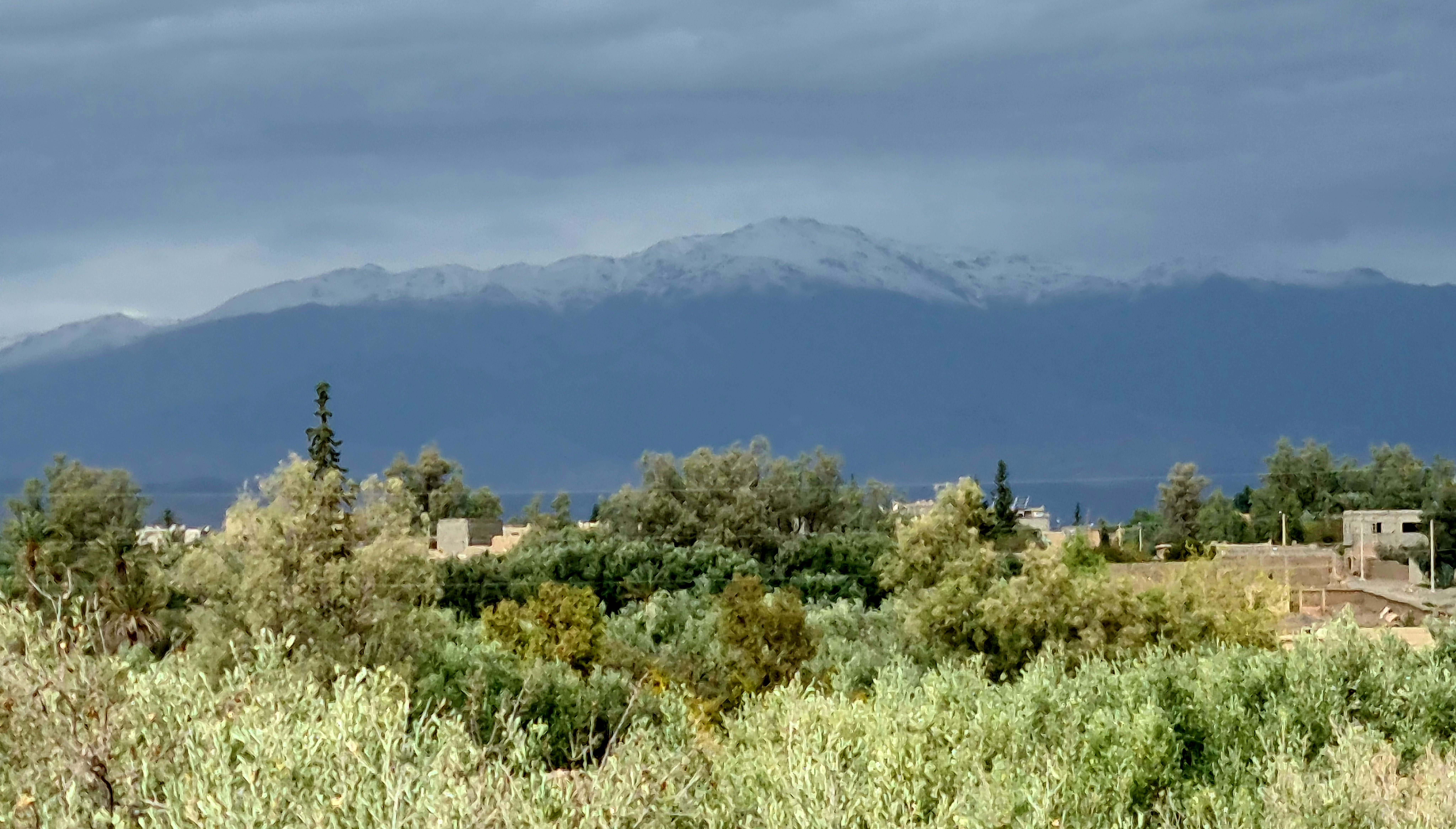 Vue sur la palmeraie de Skoura et les montagnes de l'Atlas enneigées