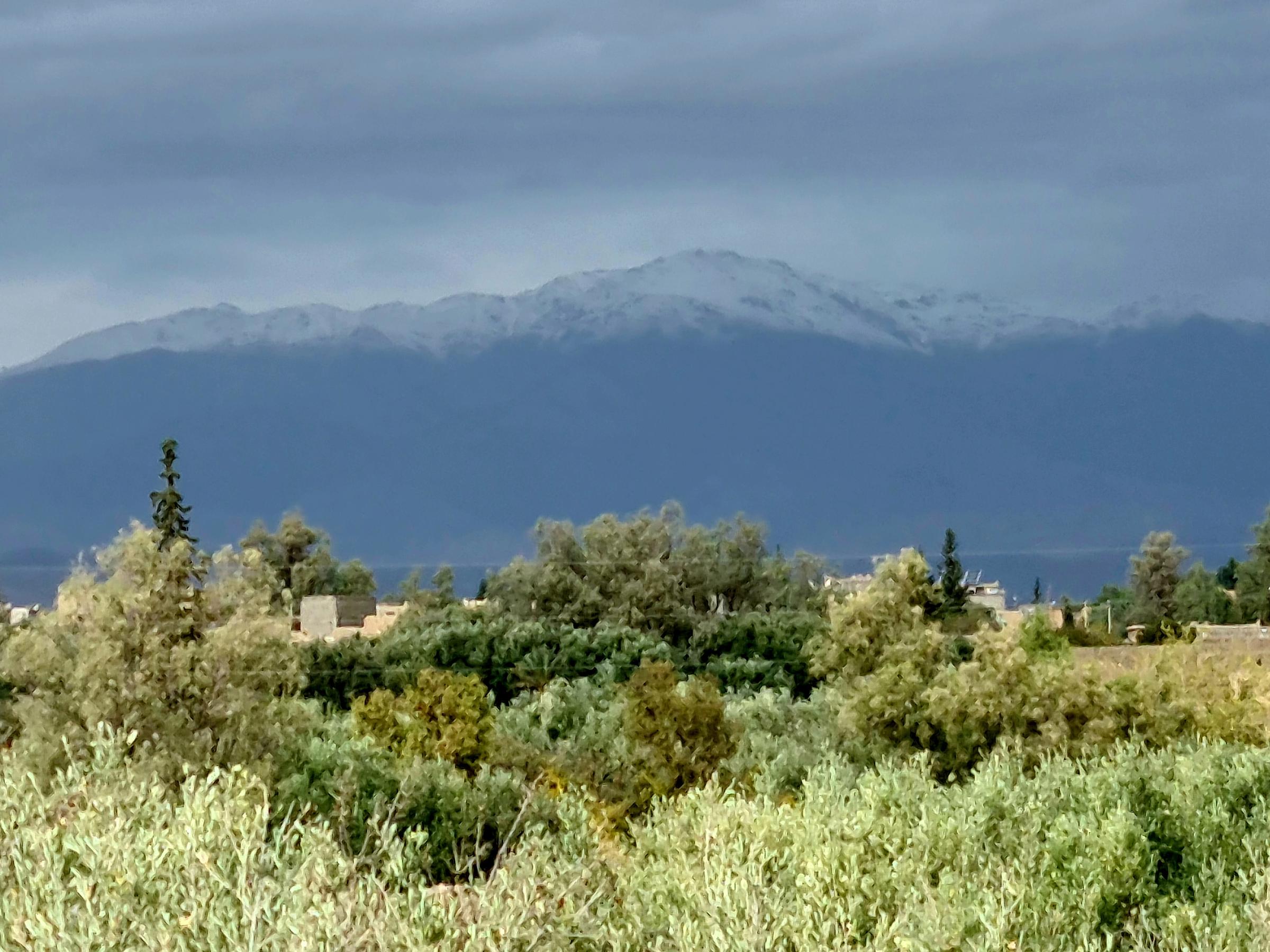 Vue sur la palmeraie de Skoura et les montagnes de l'Atlas enneigées