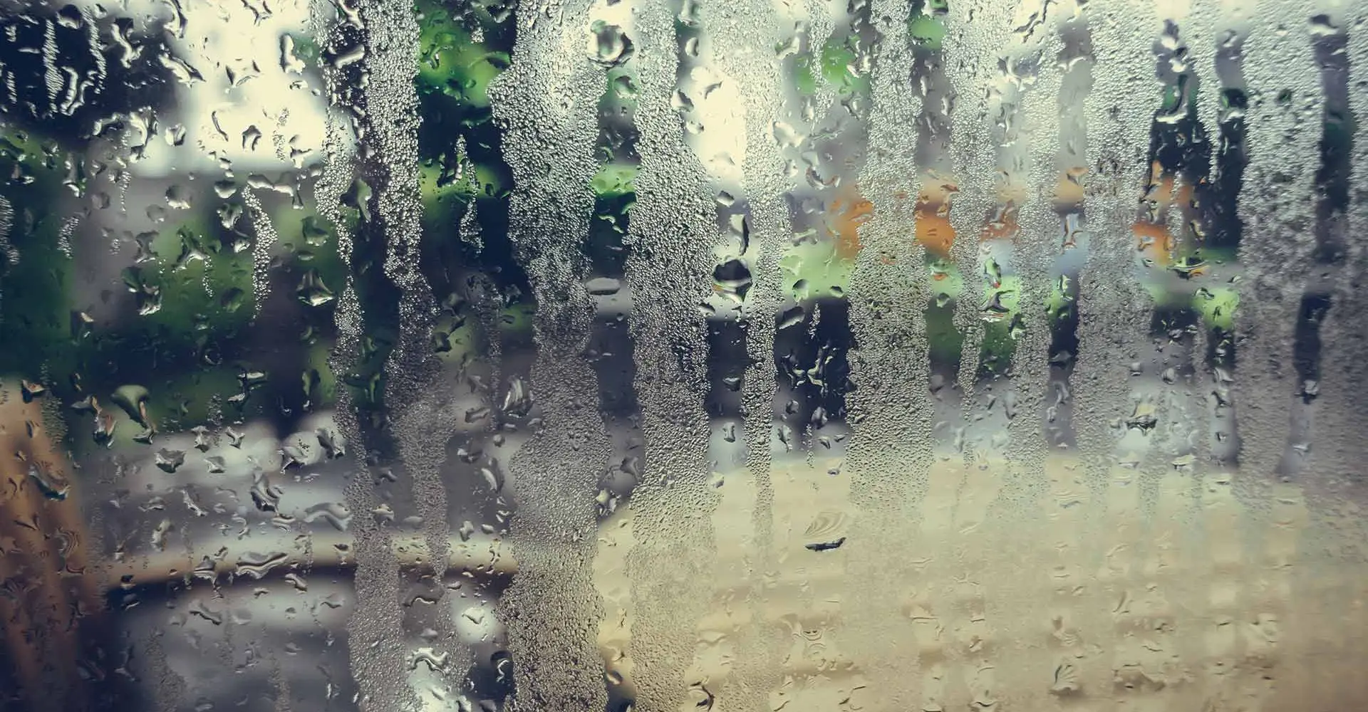 Everything about the steam sauna