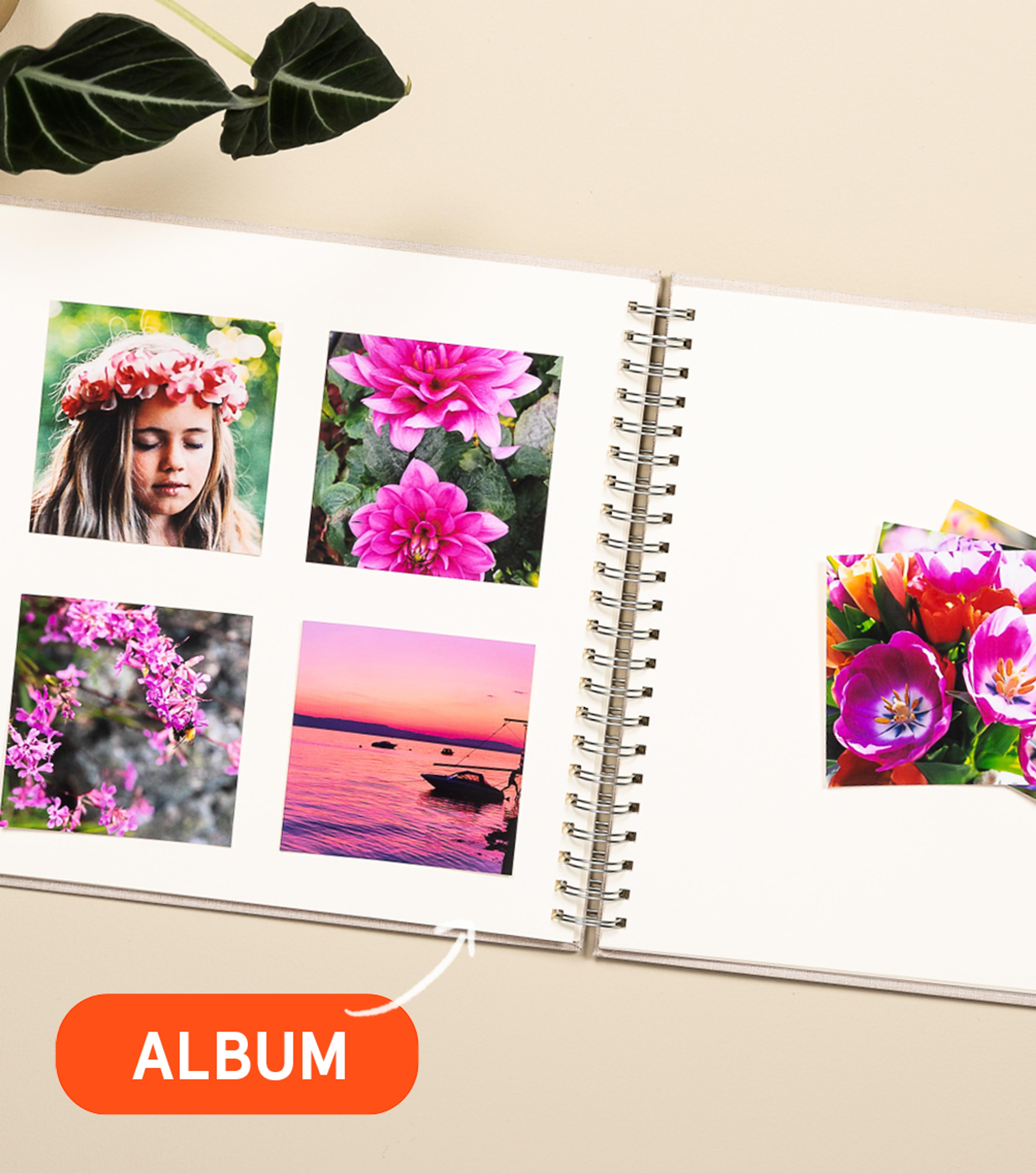 Album til bildene hos Elite Foto