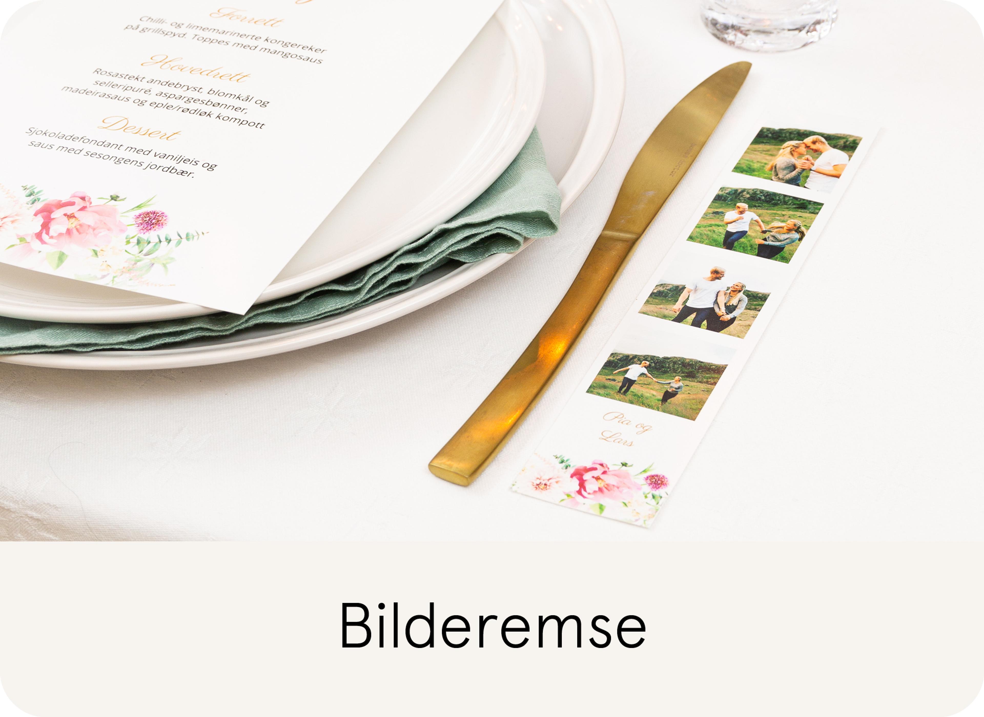 Bilderemse