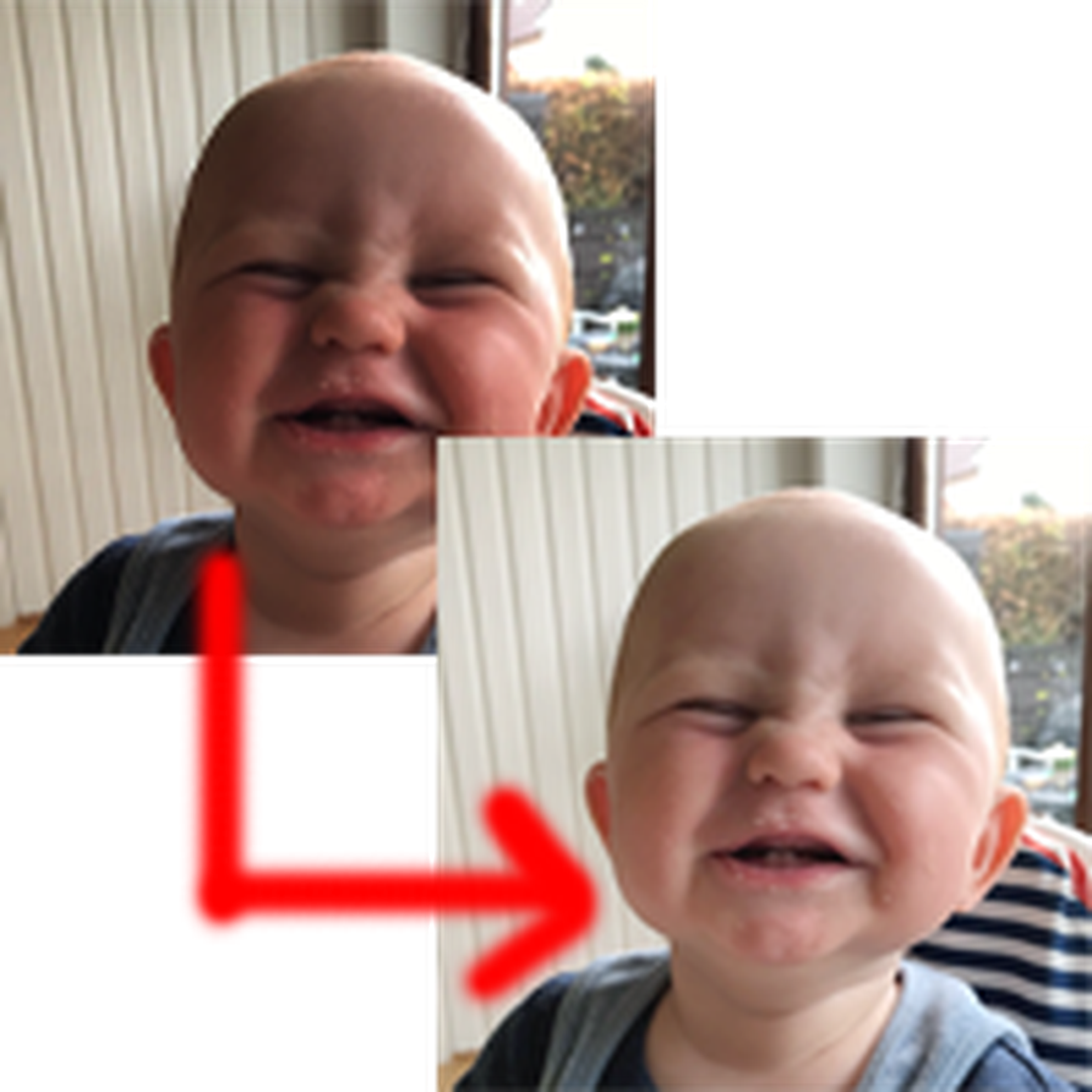 Alle bilder optimaliseres ved bestilling hos Elite Foto