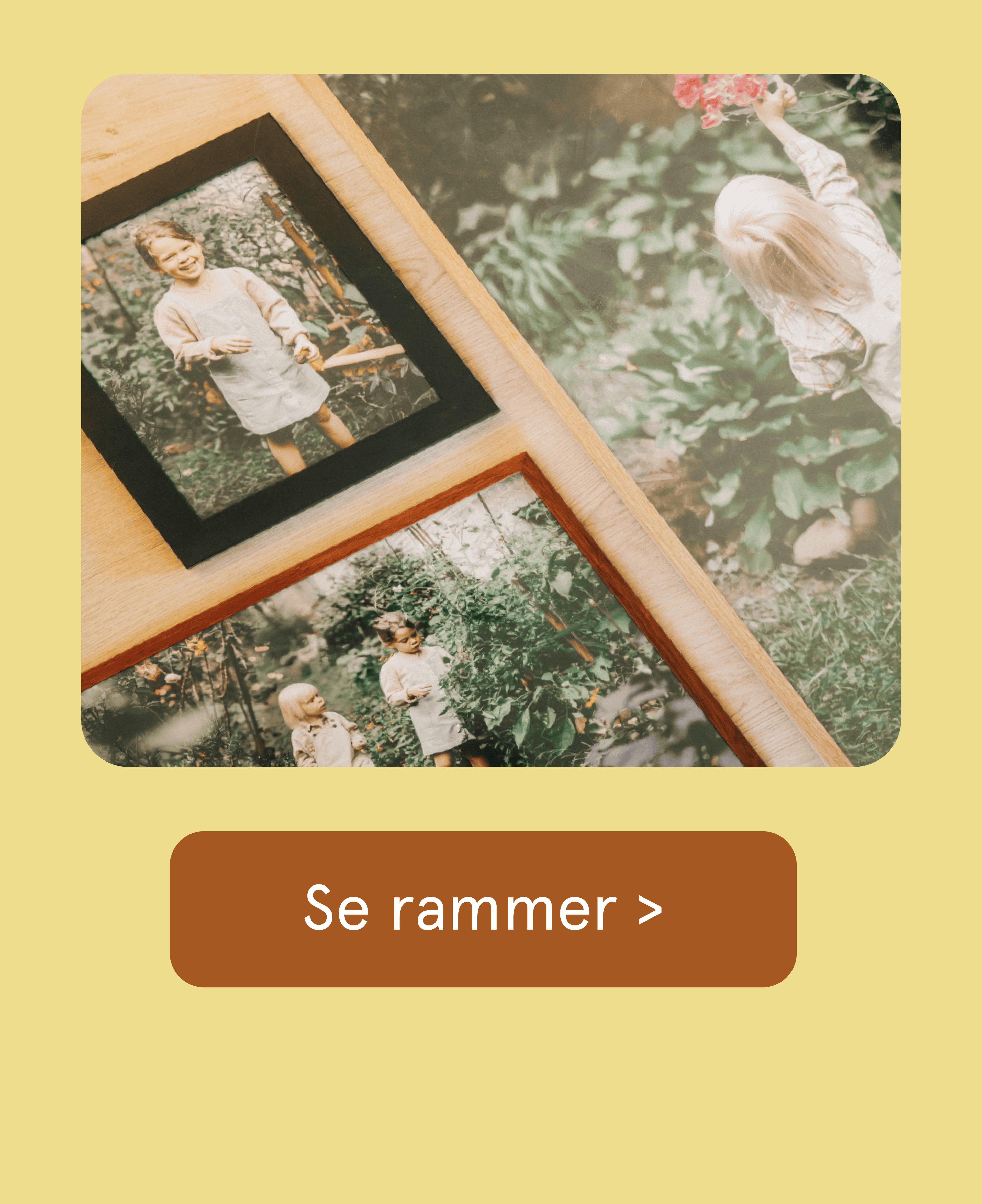 Kjøp rammer til bildet hos Elitefoto