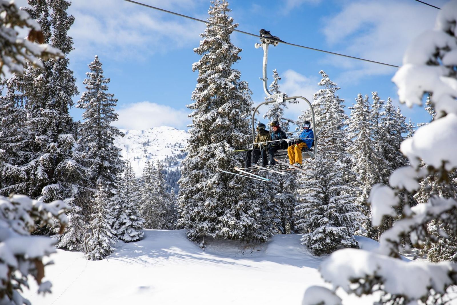 Family of skiers on a chairlift within an alpine forest