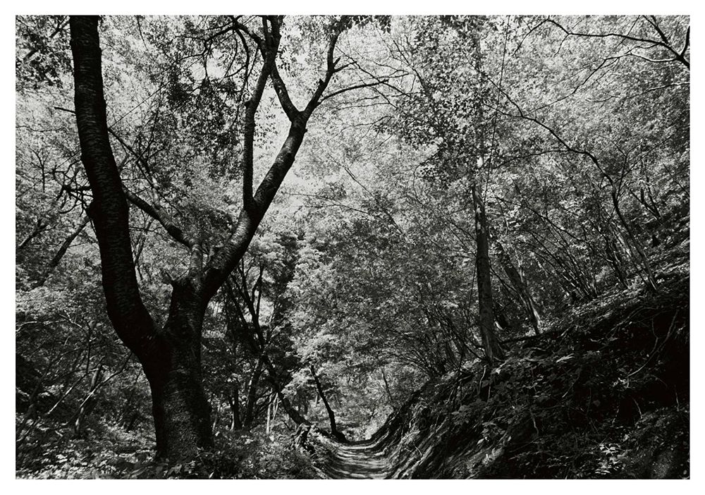 photo at jinba mountain