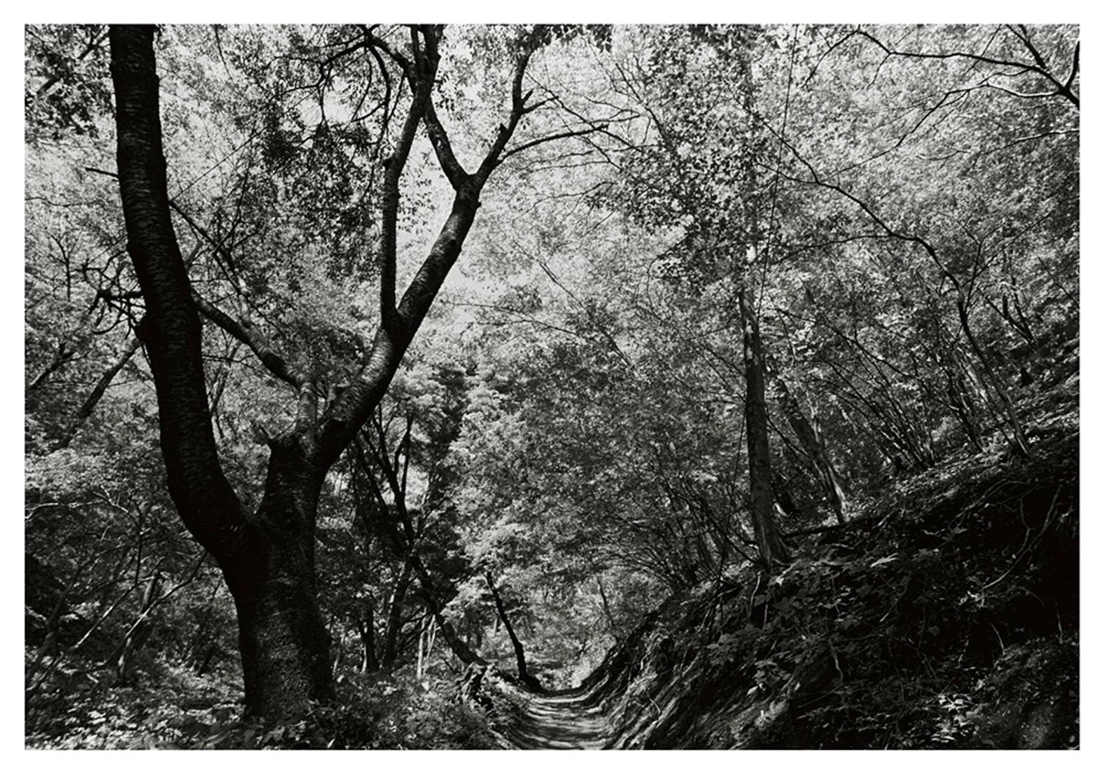 photo at jinba mountain