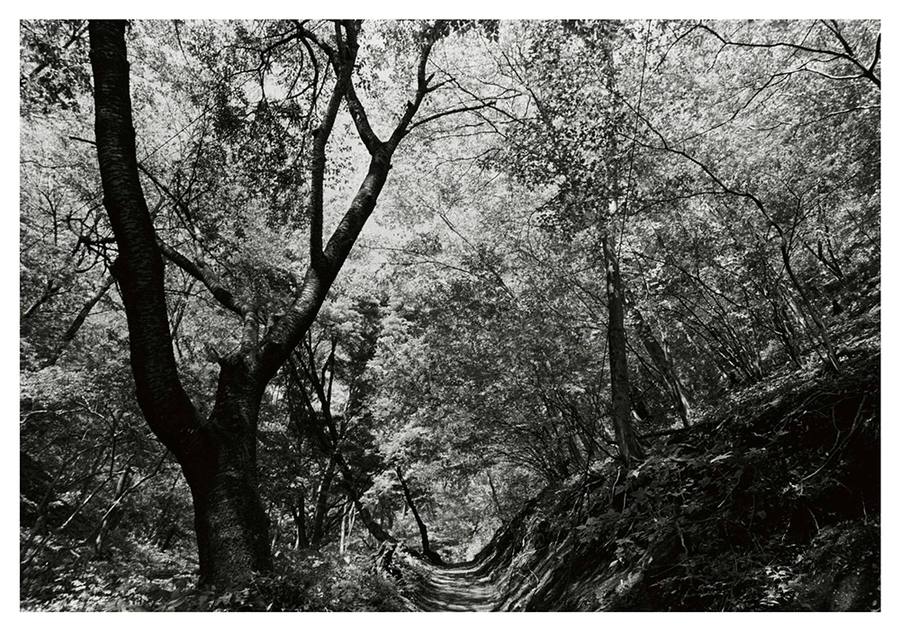 photo at jinba mountain