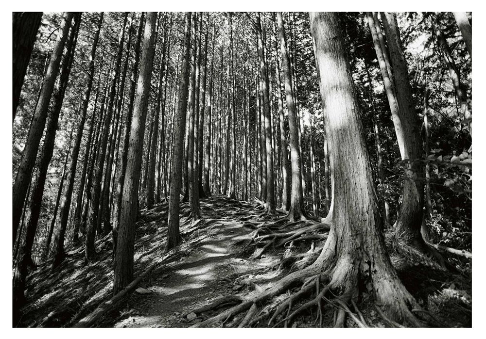 photo at jinba mountain