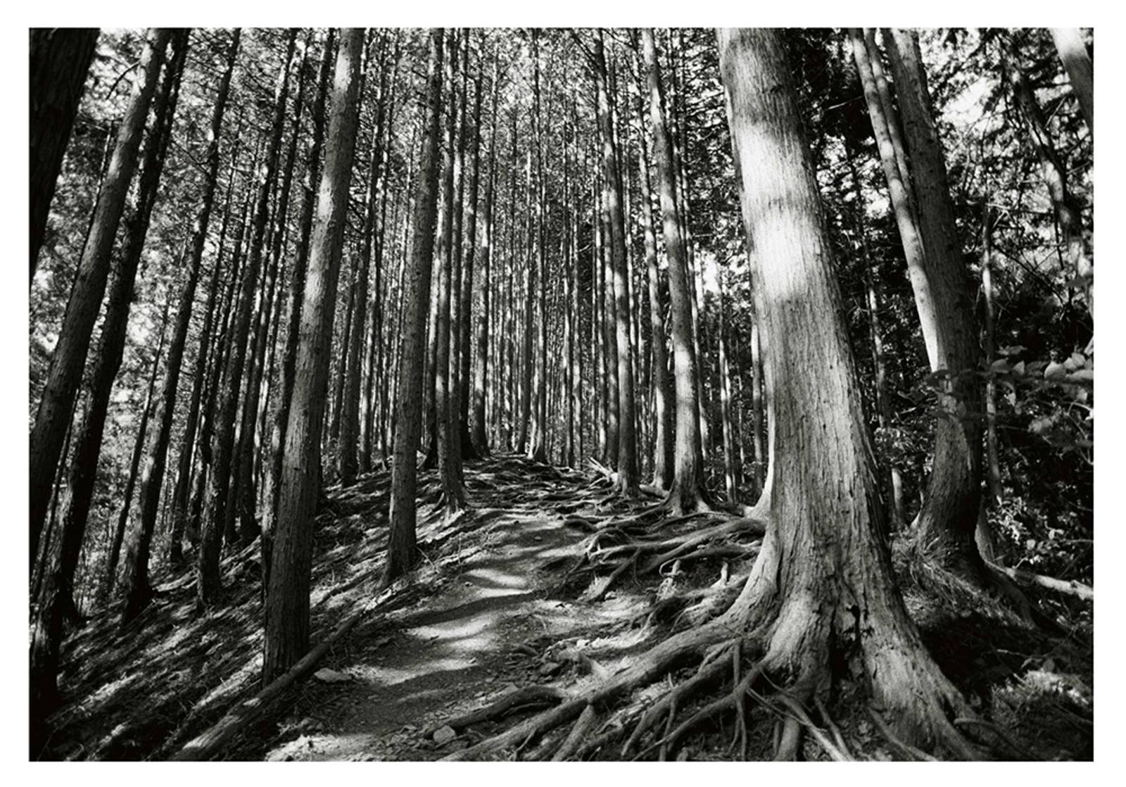 photo at jinba mountain