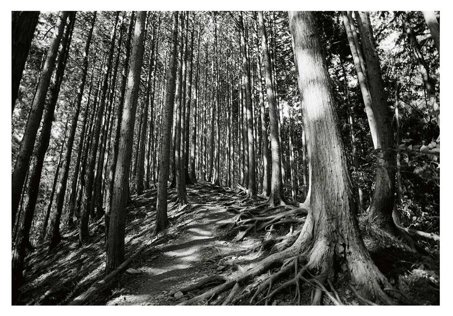 photo at jinba mountain