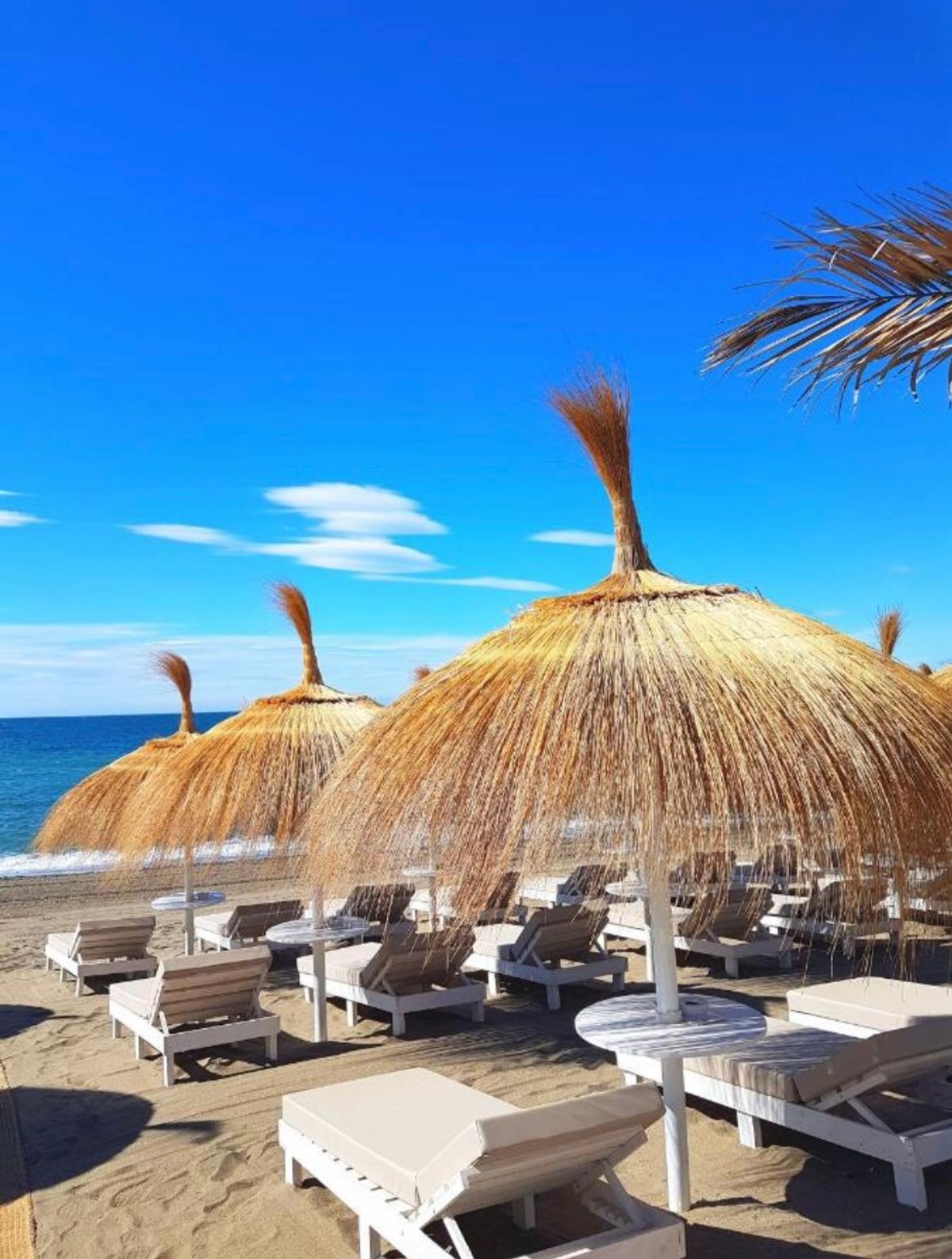 Marbella w 5* hotelu za 1499 zł!🇪🇸🏝️ (W cenie loty+hotel ze śniadaniami+transfer)
