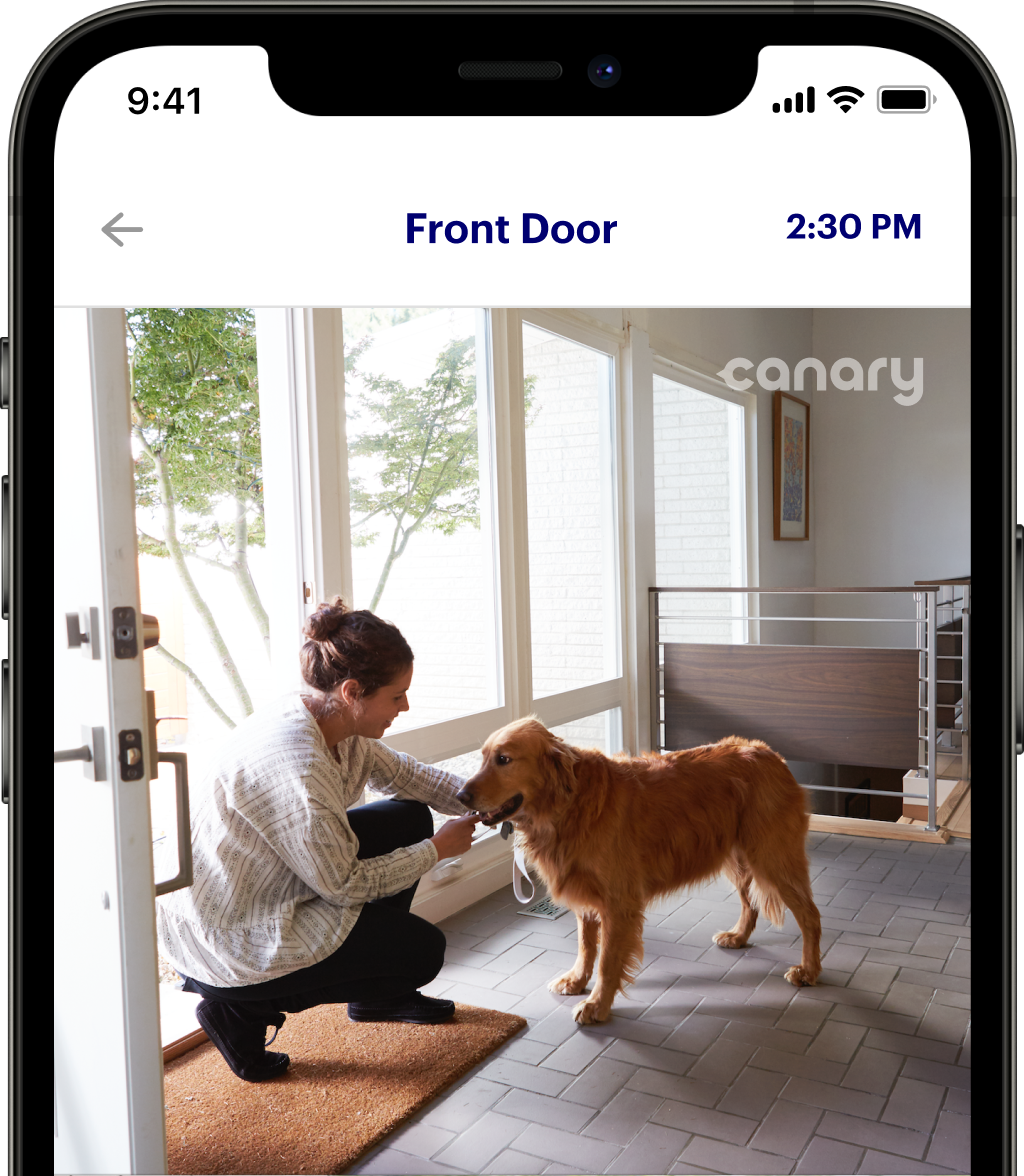 Canary hot sale security app