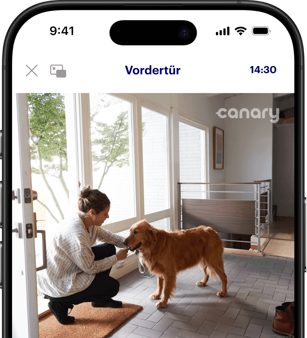 Den Hund überwachen