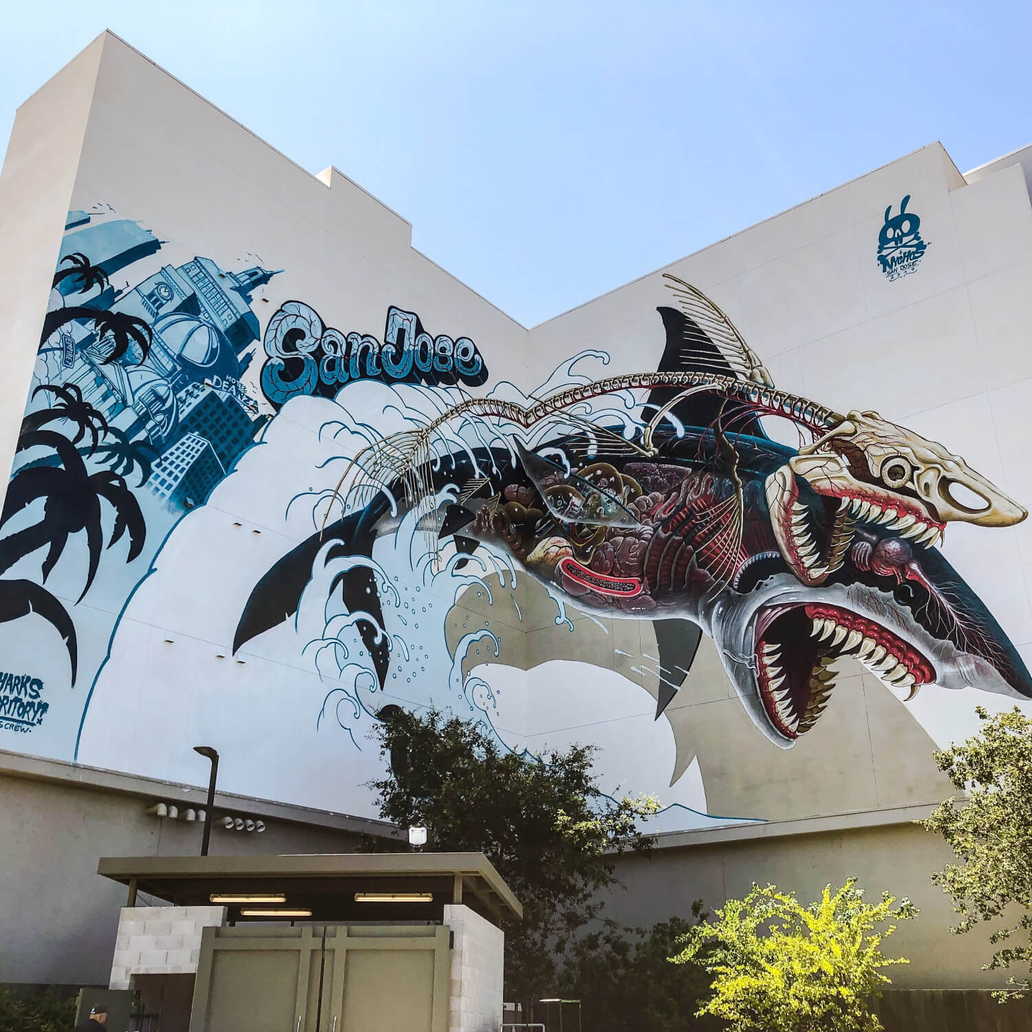 Two large sharks with the word 'San Jose' painted onto a large white wall under a blue sky