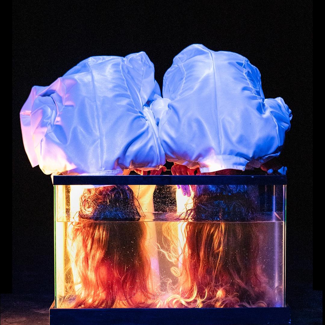 Springboard Performance | Springboard Performance