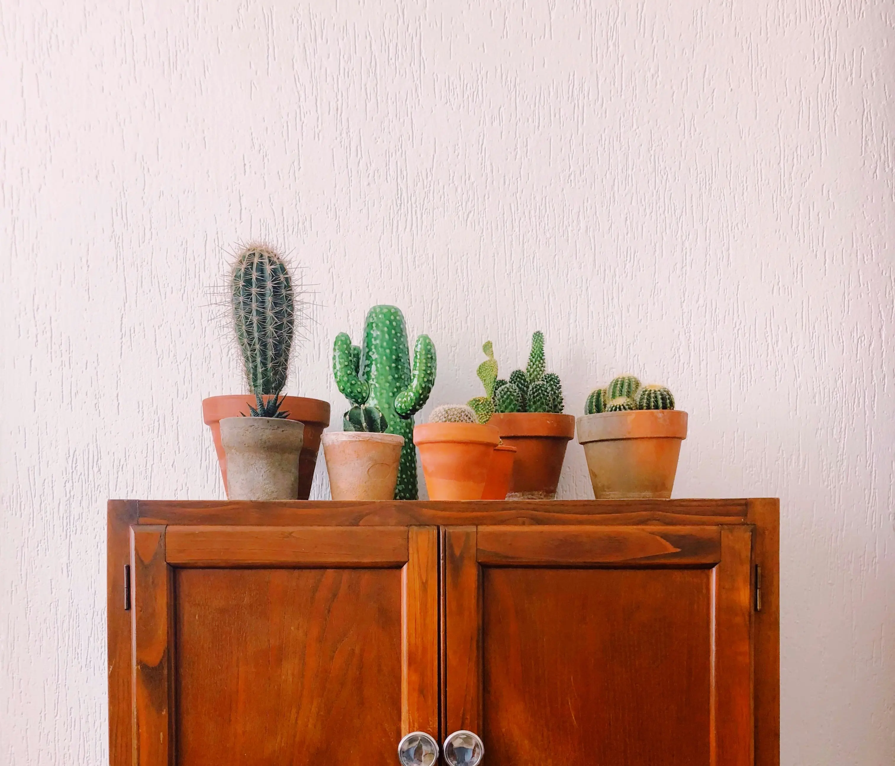 Which Is Actually Better for You? Fixed Indexed Annuities vs. CDs vs. Money Markets vs. HYSA