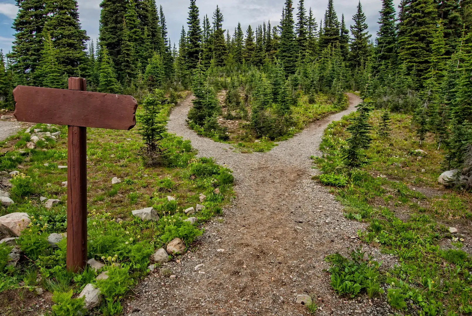 The Impact of Delaying Retirement: Understanding the Financial Benefits