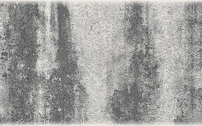 Image for Mold Assessor License Requirements: NY, TX, FL, DC and LA