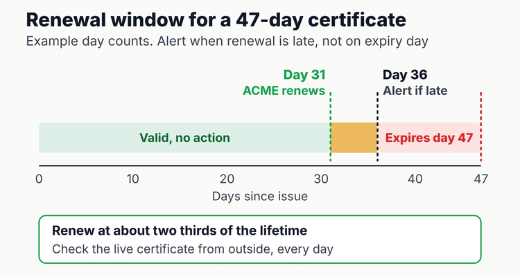 SSL certificate expiration timeline for a 47-day certificate: automated renewal at about two thirds of the lifetime, an alert if the live certificate has not changed a few days later, and hard expiry at day 47