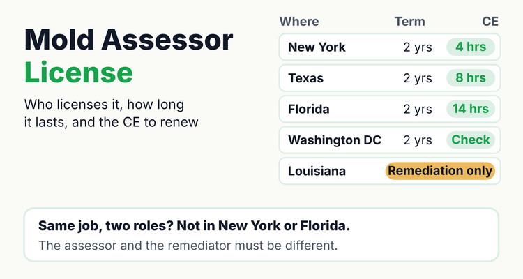 Mold assessor license infographic comparing New York, Texas, Florida and Washington DC two-year license terms and continuing education hours, with Louisiana licensing mold remediation only